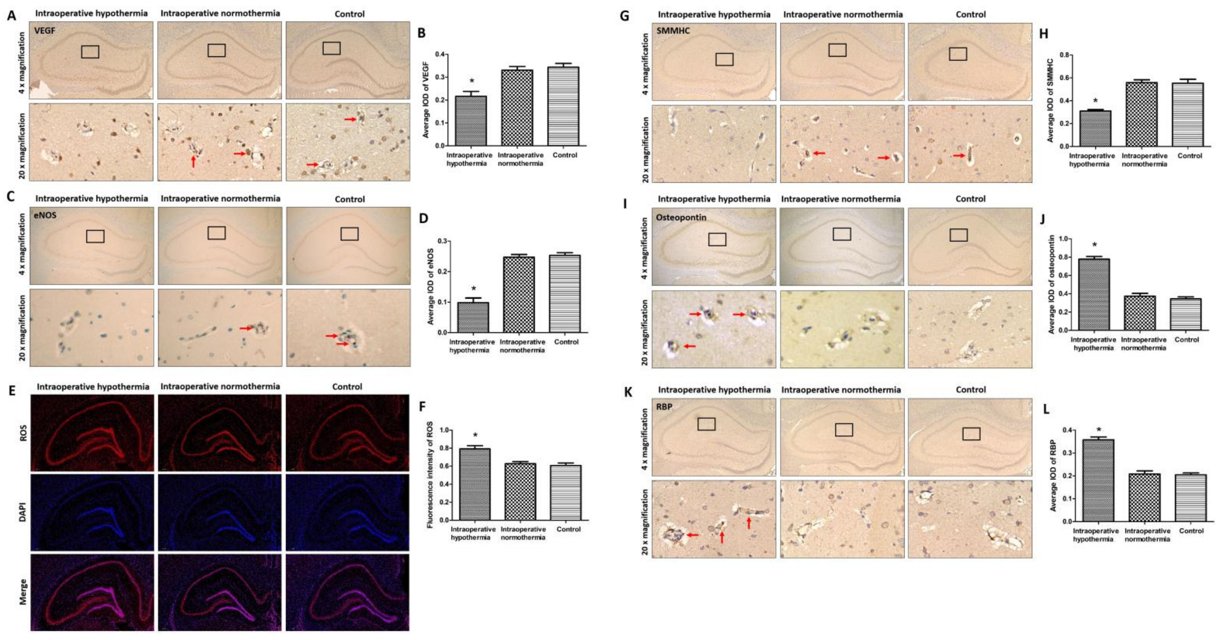 Brainsci 12 00692 g002