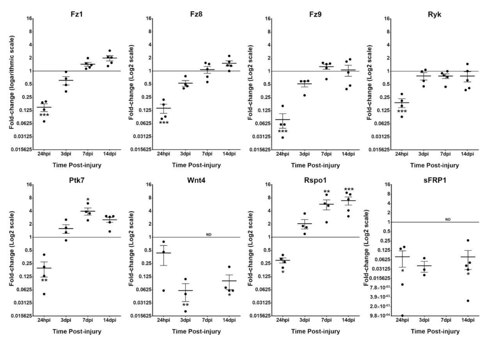Brainsci 12 00708 g001