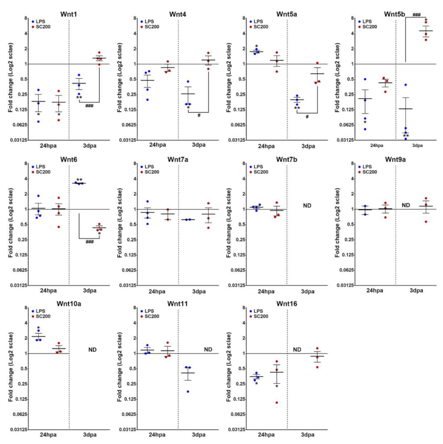Brainsci 12 00708 g002