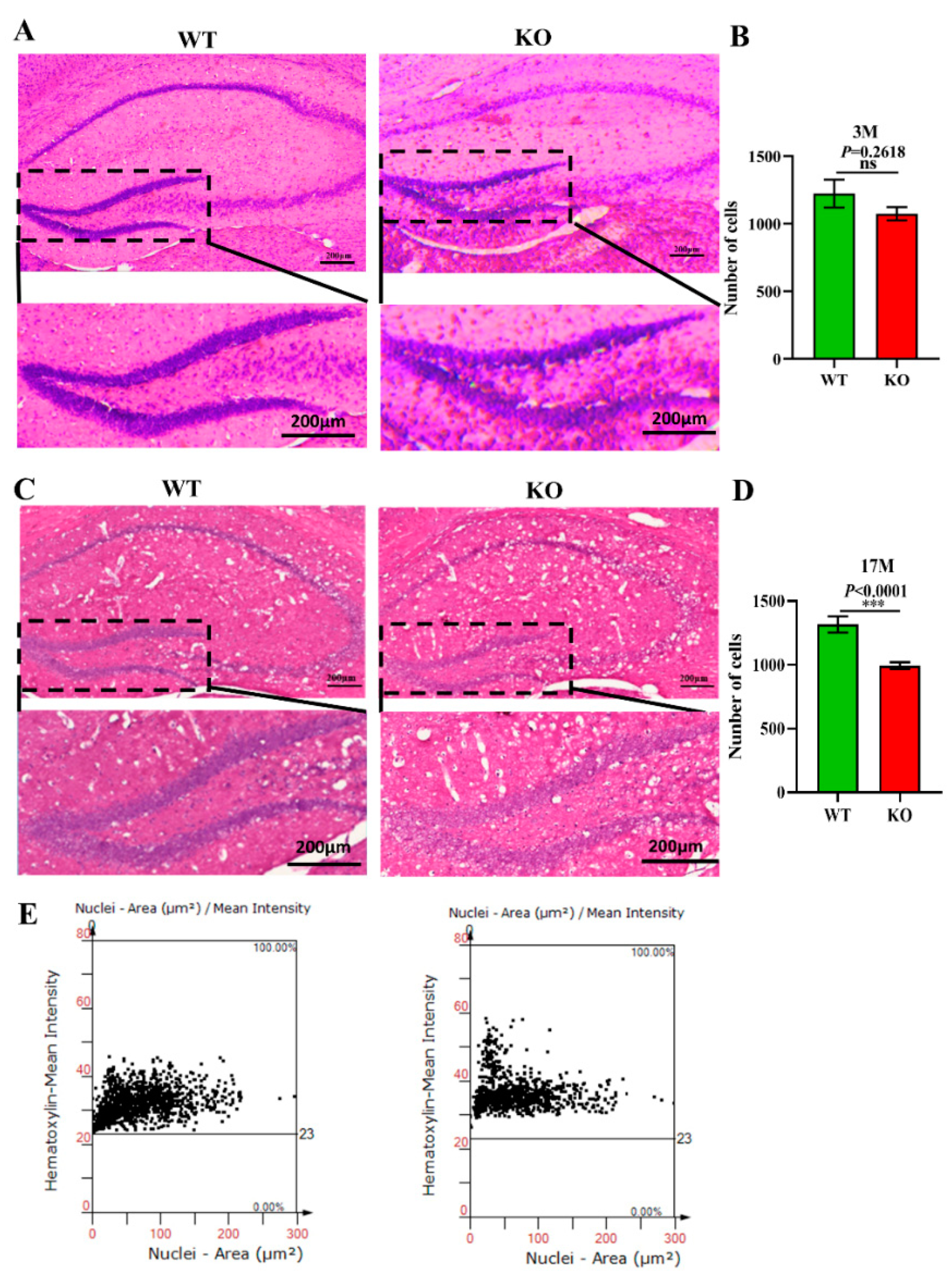 Brainsci 12 00709 g004