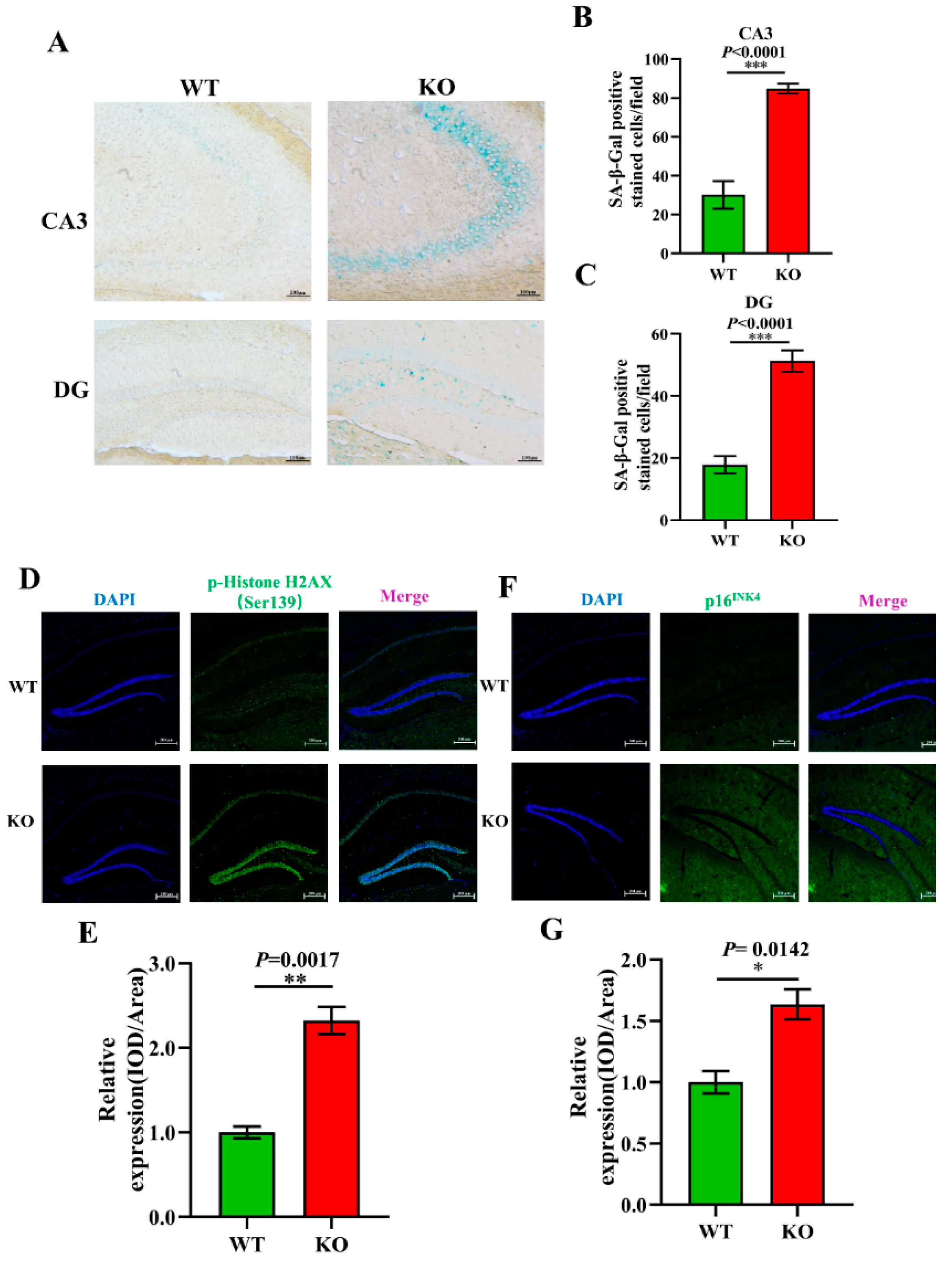 Brainsci 12 00709 g005