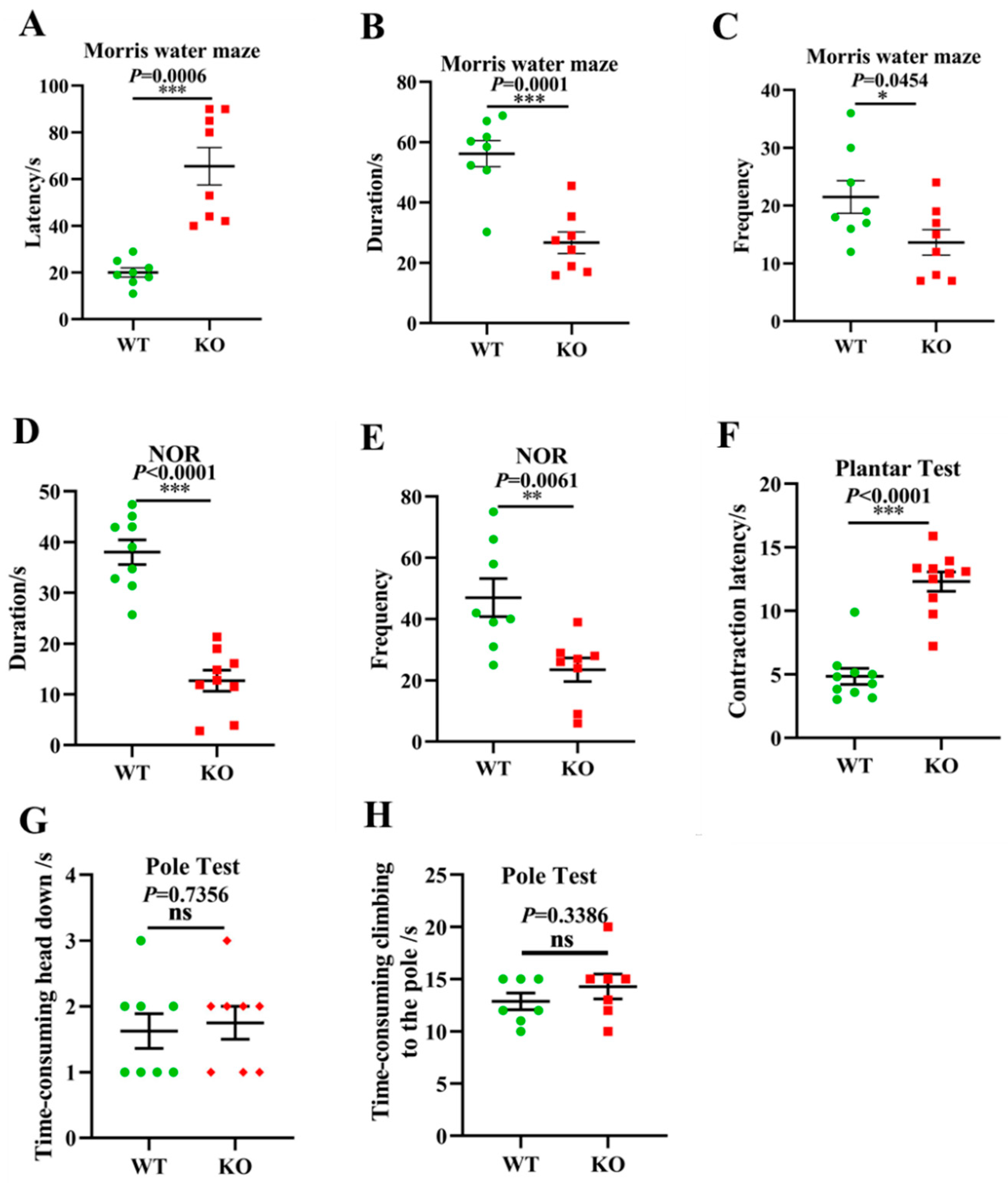 Brainsci 12 00709 g006