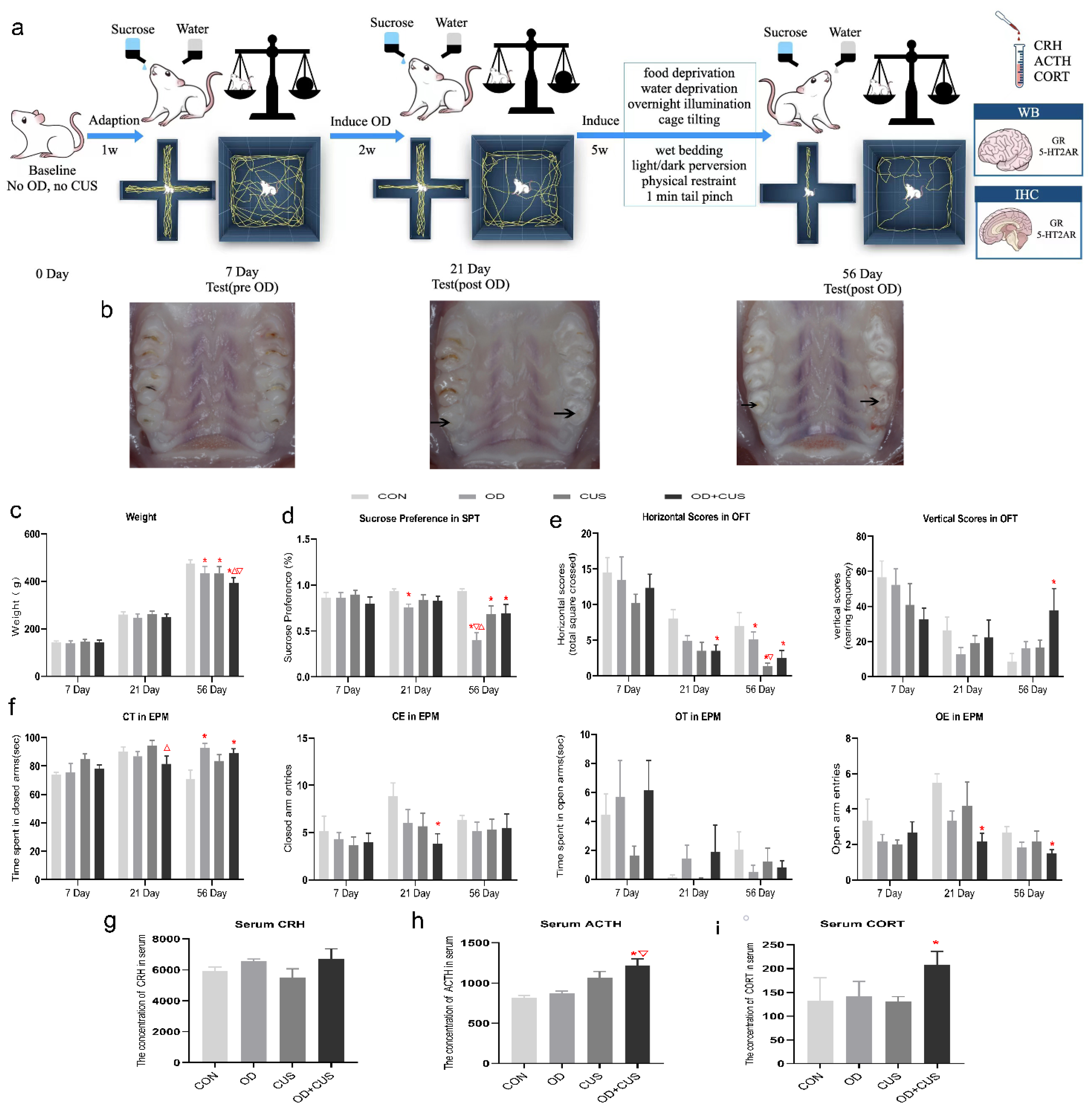 Brainsci 12 00747 g002