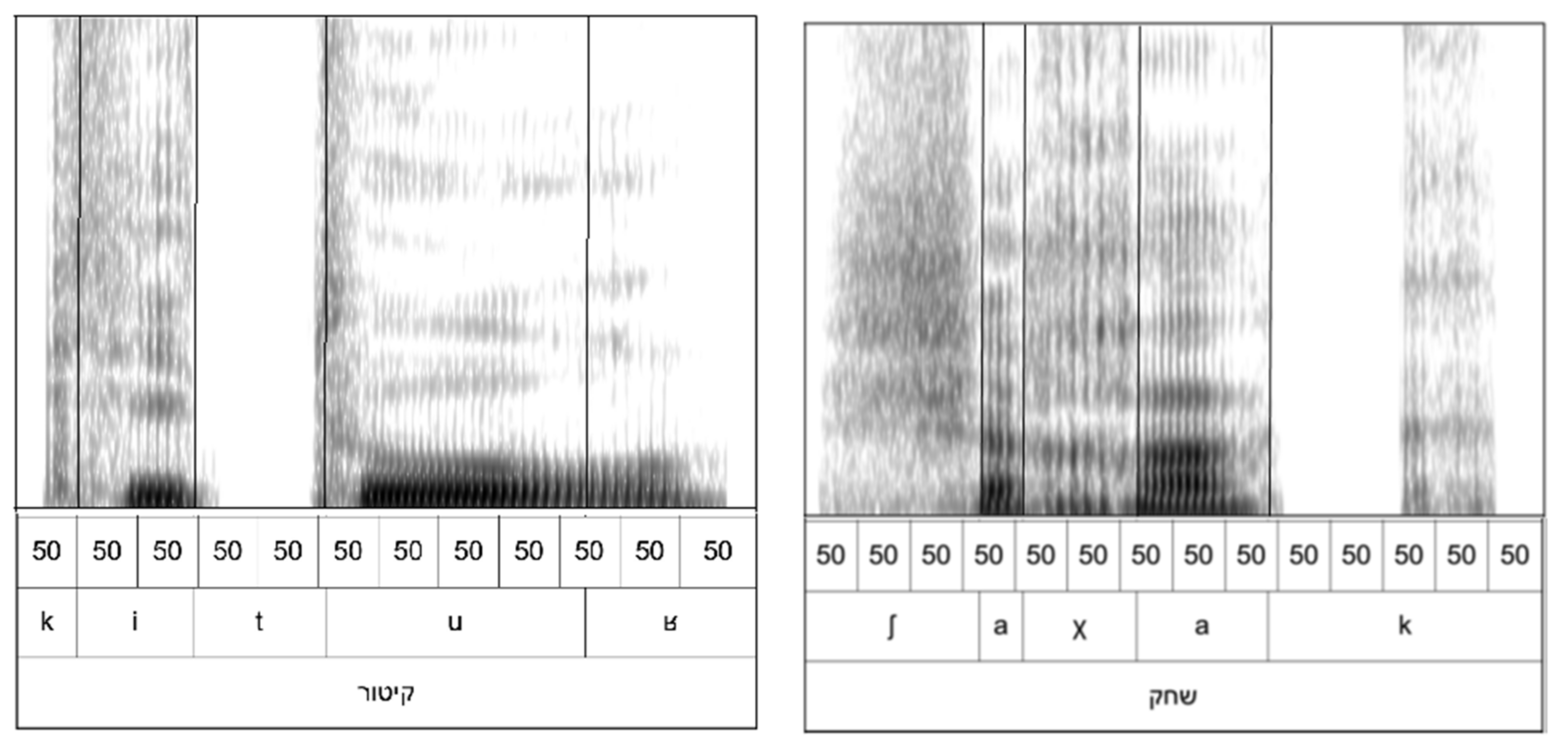 Brainsci 12 00750 g001