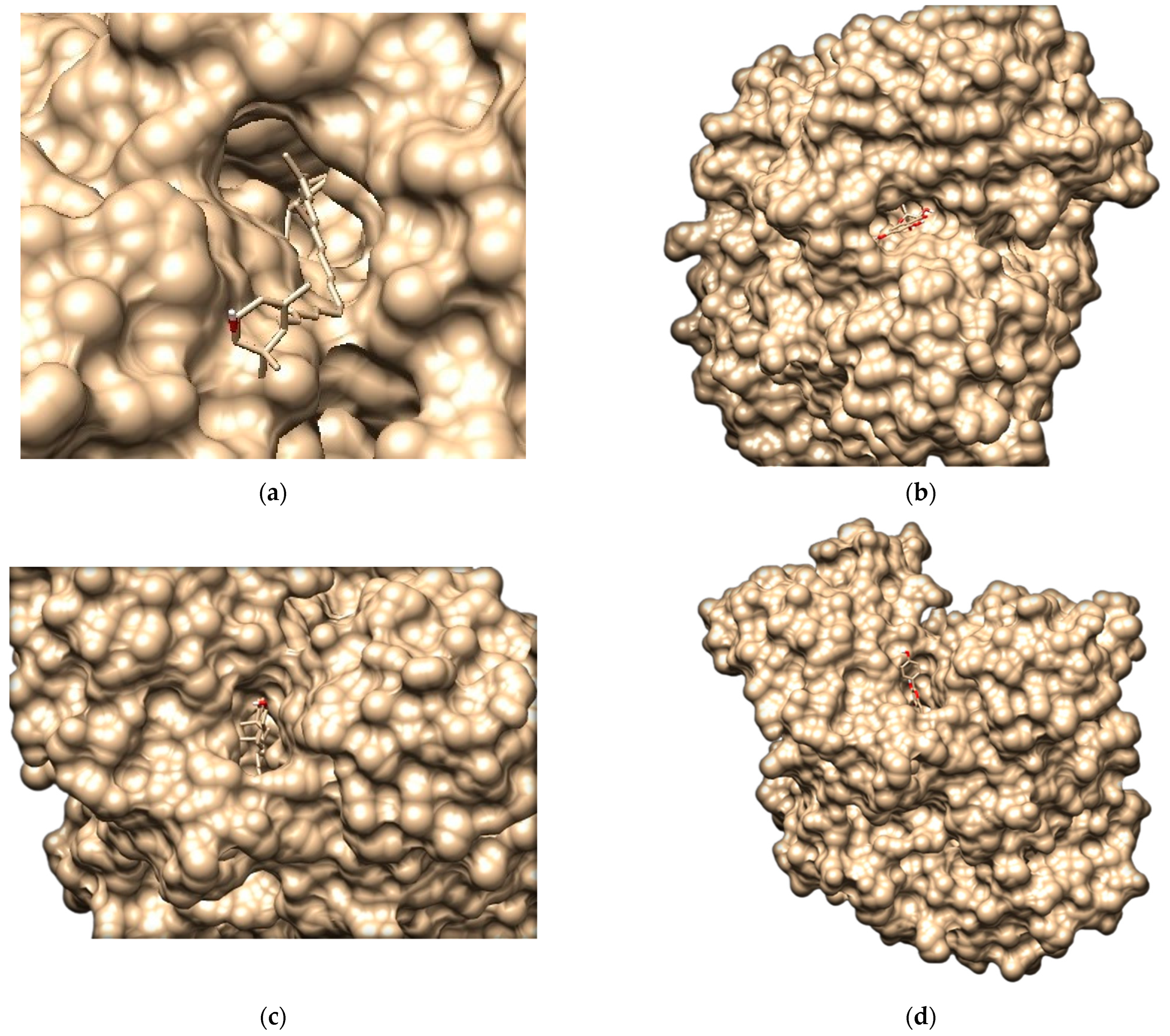 Brainsci 12 00770 g011a