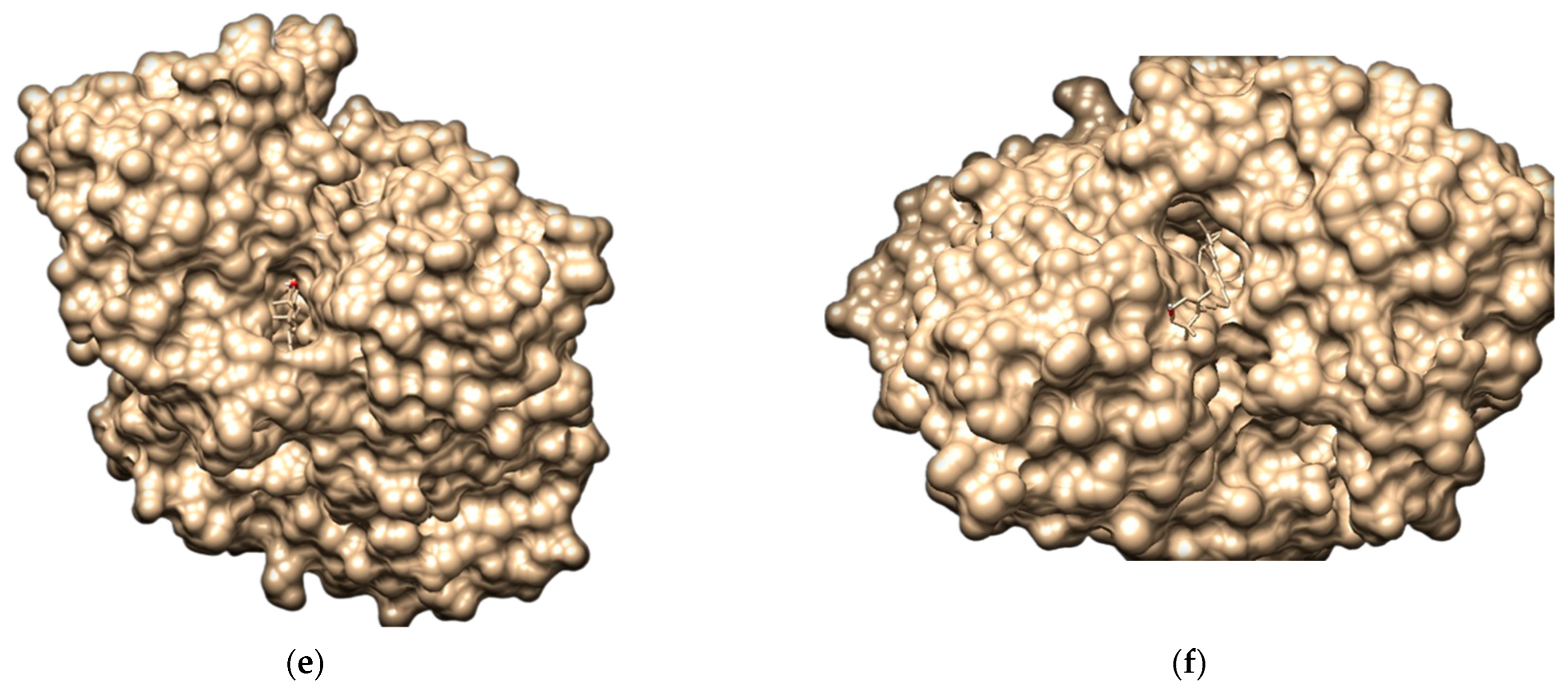 Brainsci 12 00770 g011b