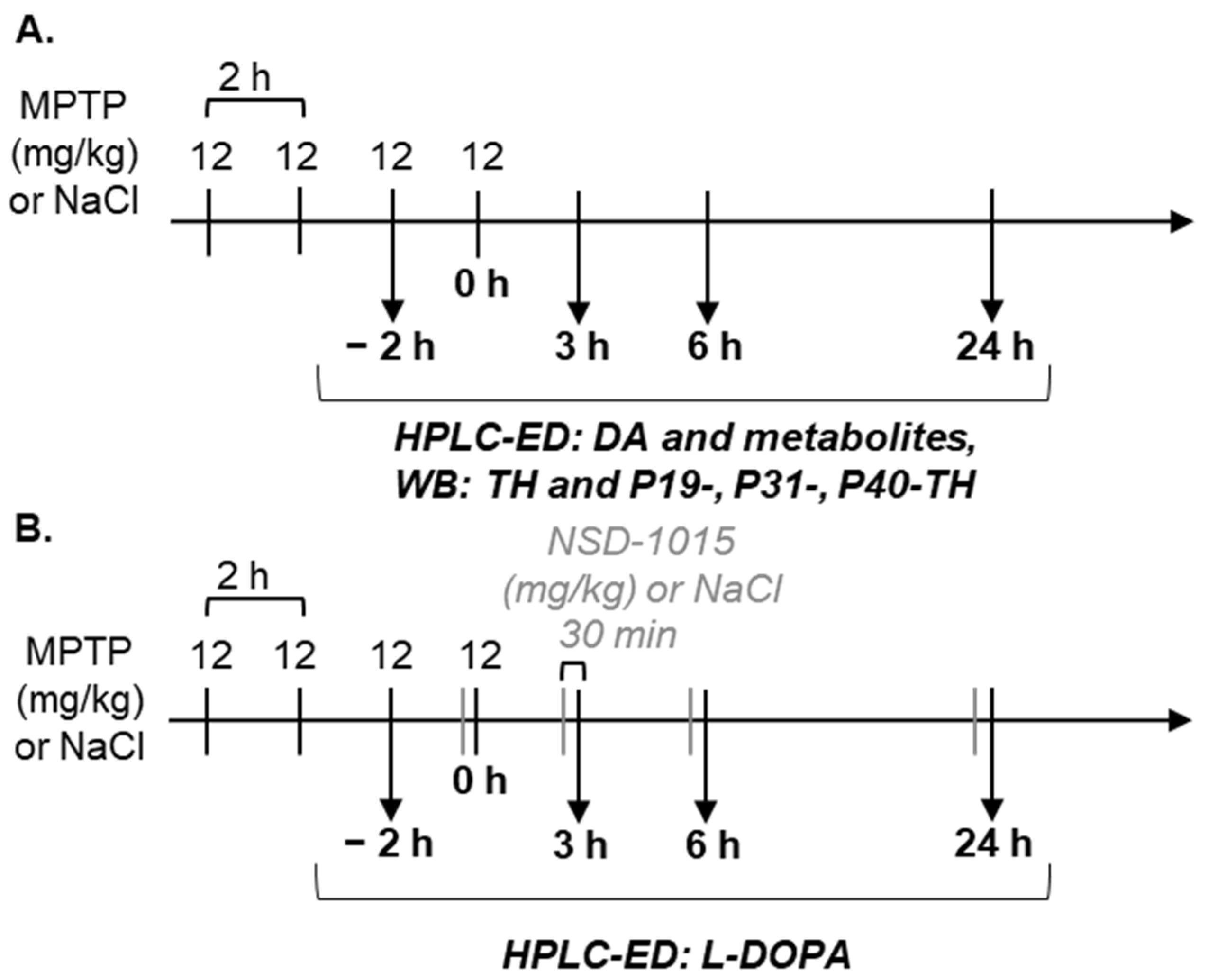 Brainsci 12 00779 g001
