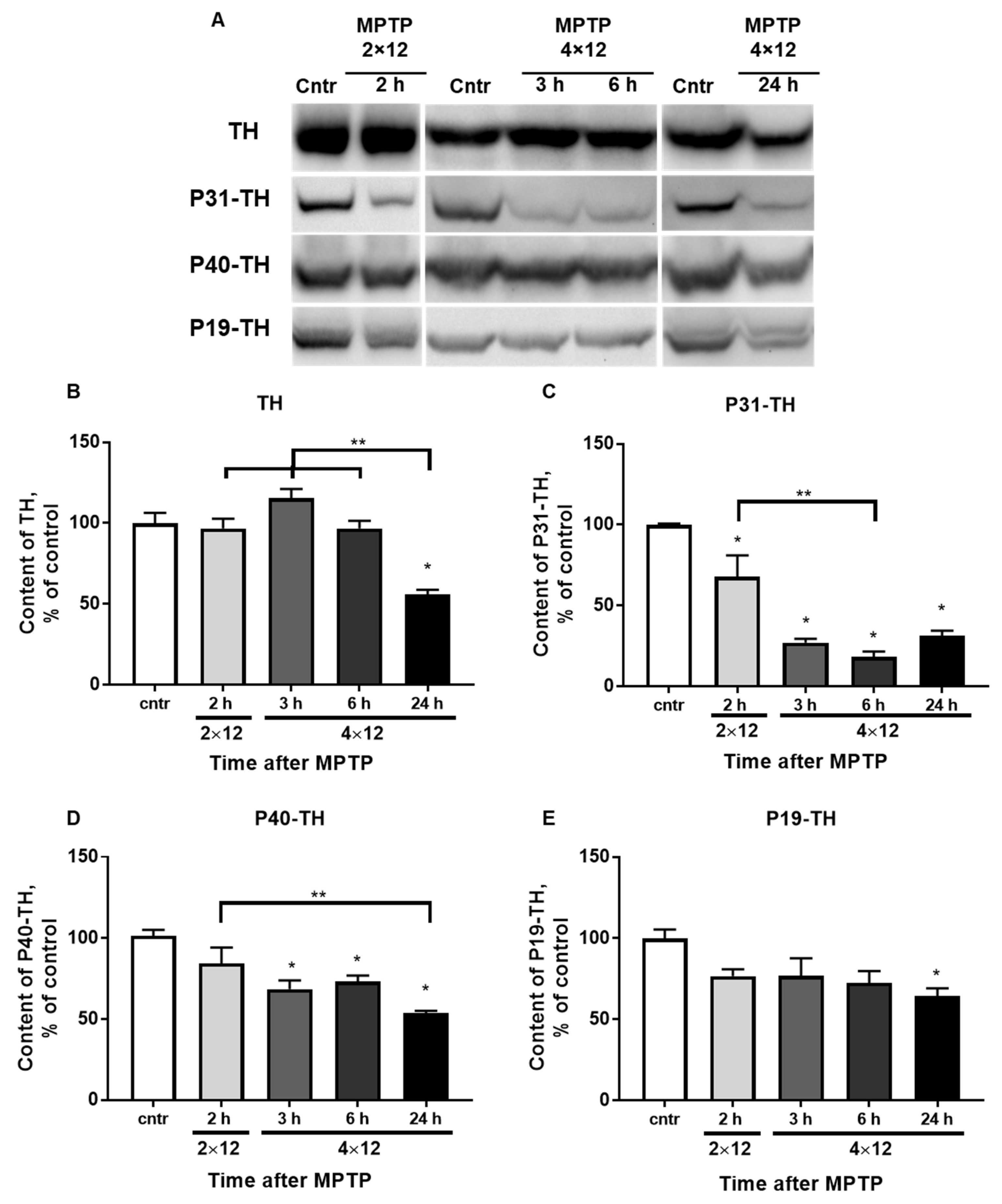 Brainsci 12 00779 g005