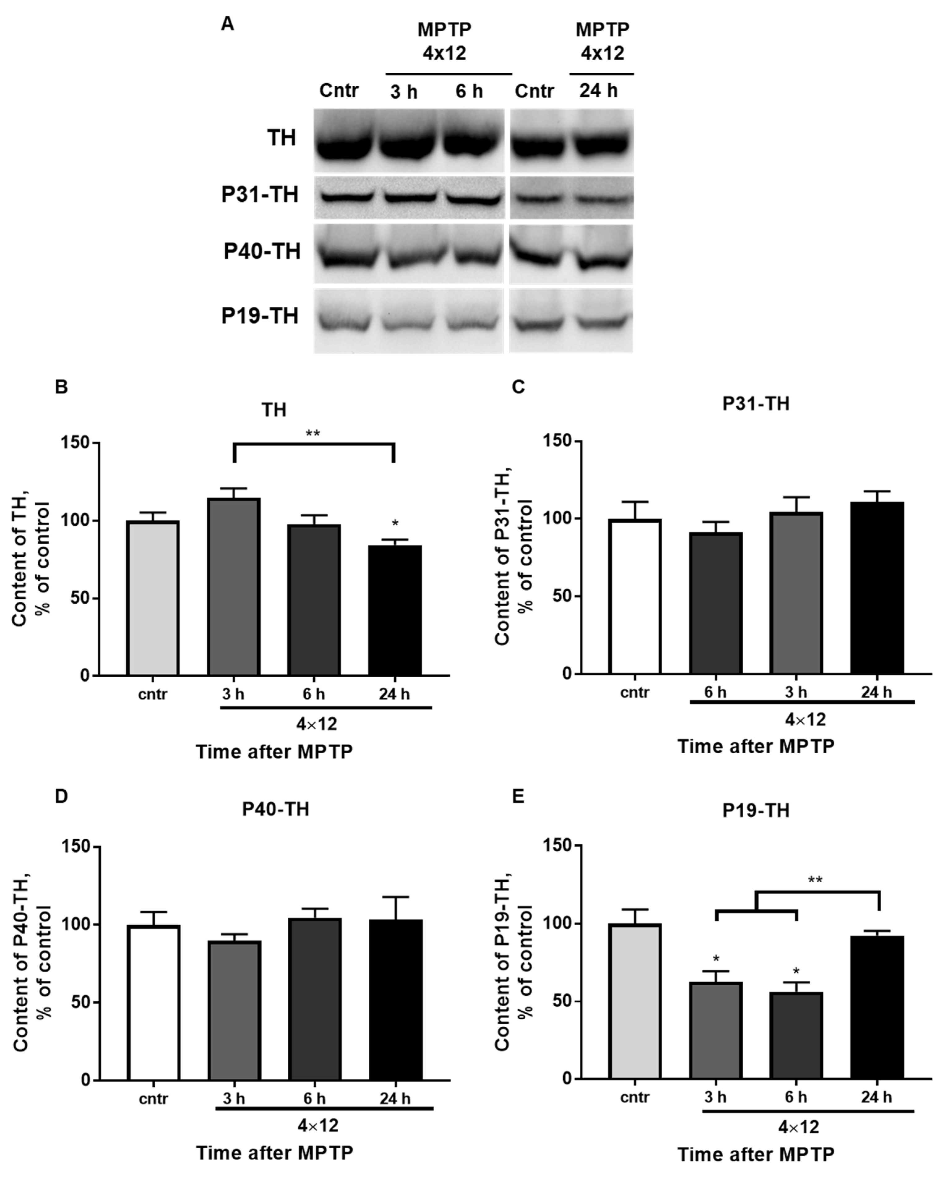 Brainsci 12 00779 g006