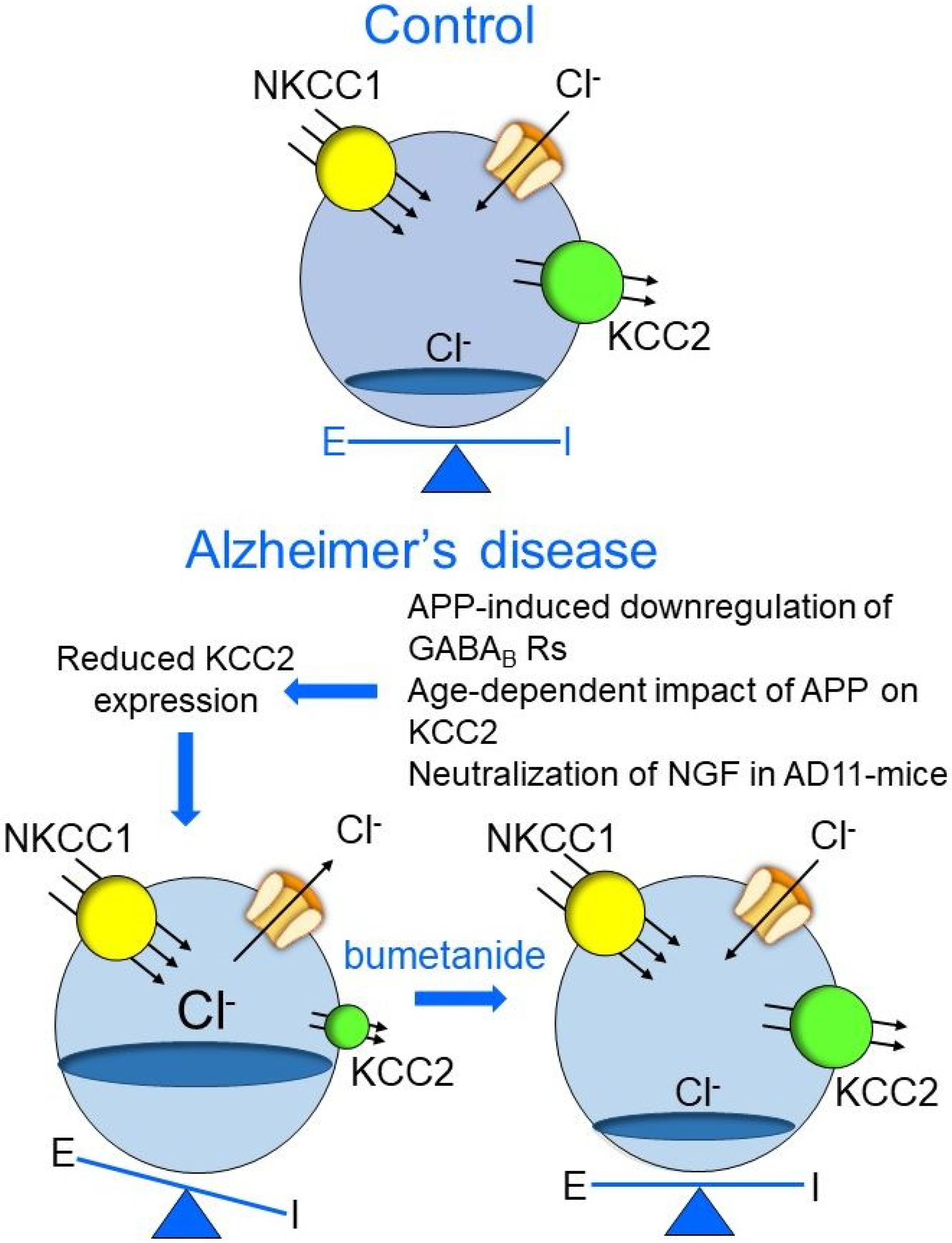 Brainsci 12 00783 g001