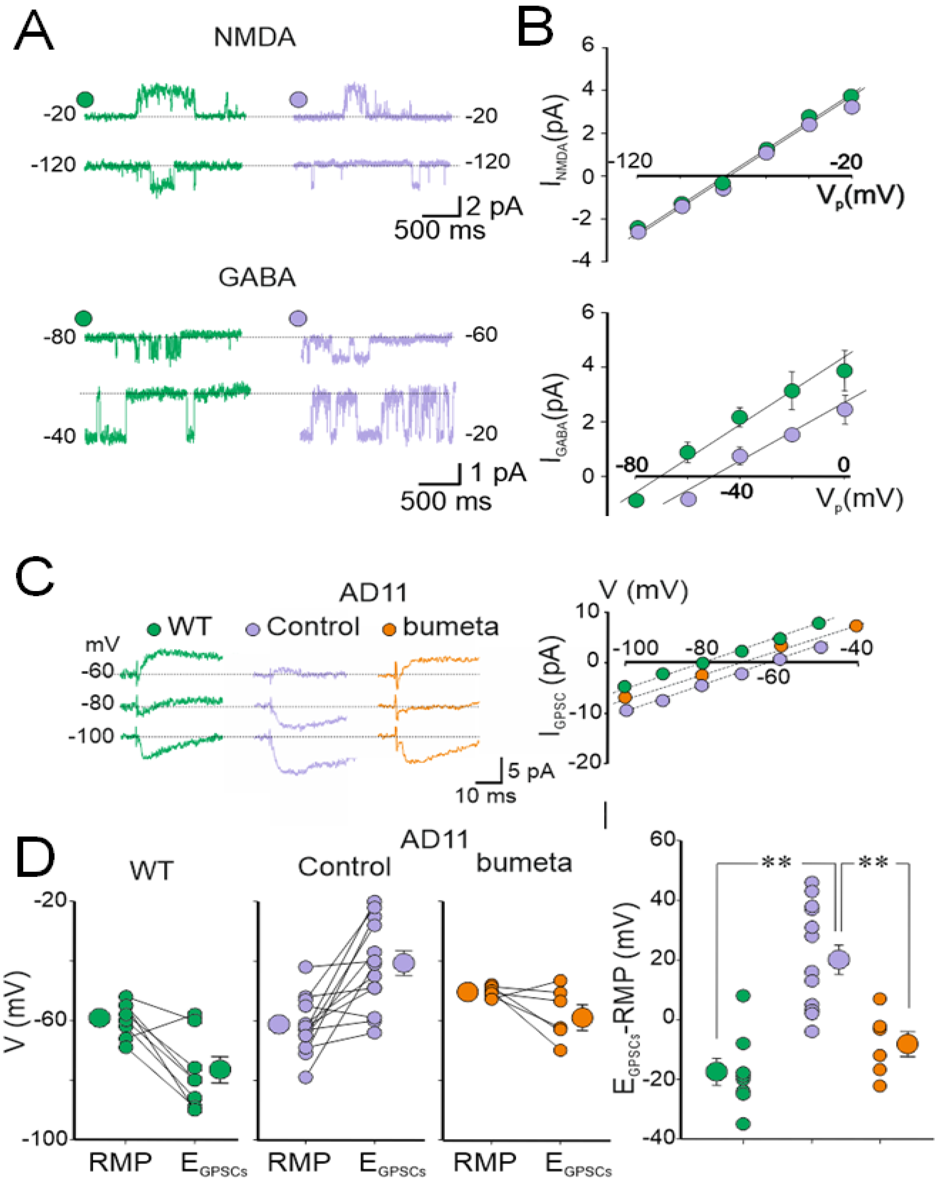 Brainsci 12 00783 g002