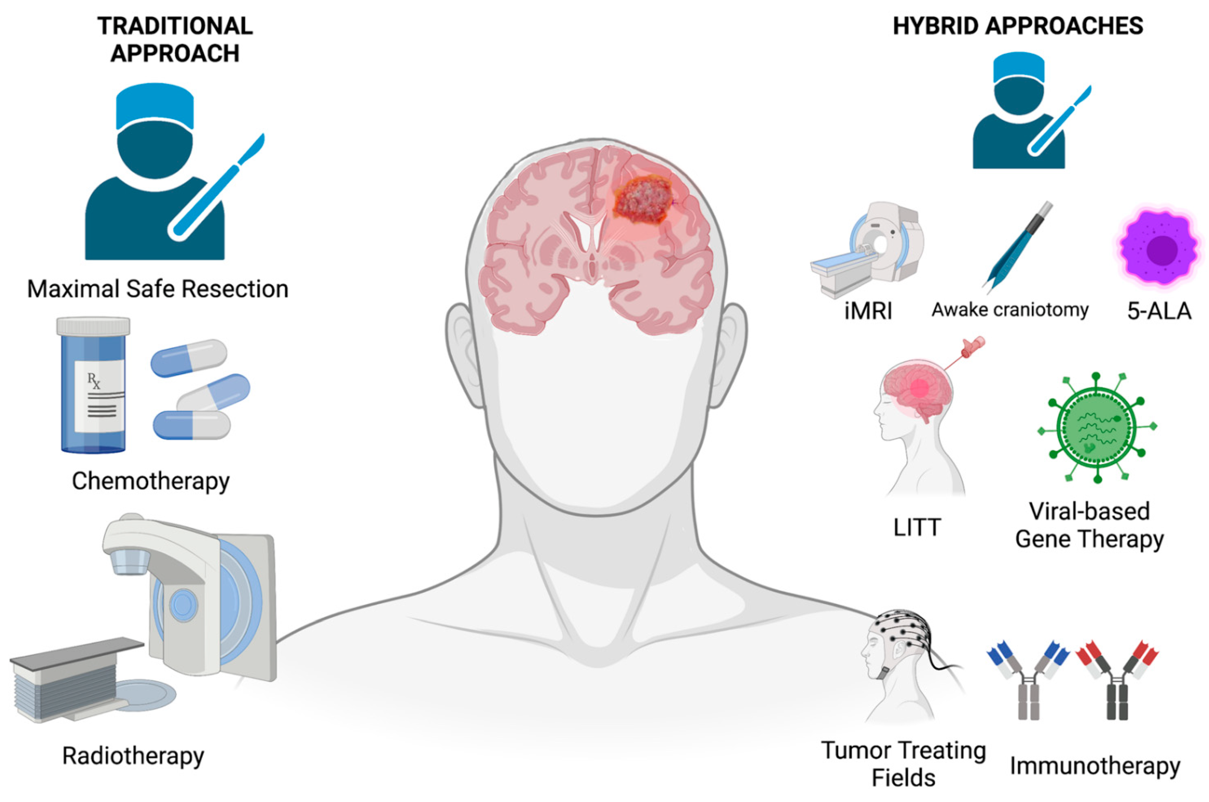 Brainsci 12 00787 g001
