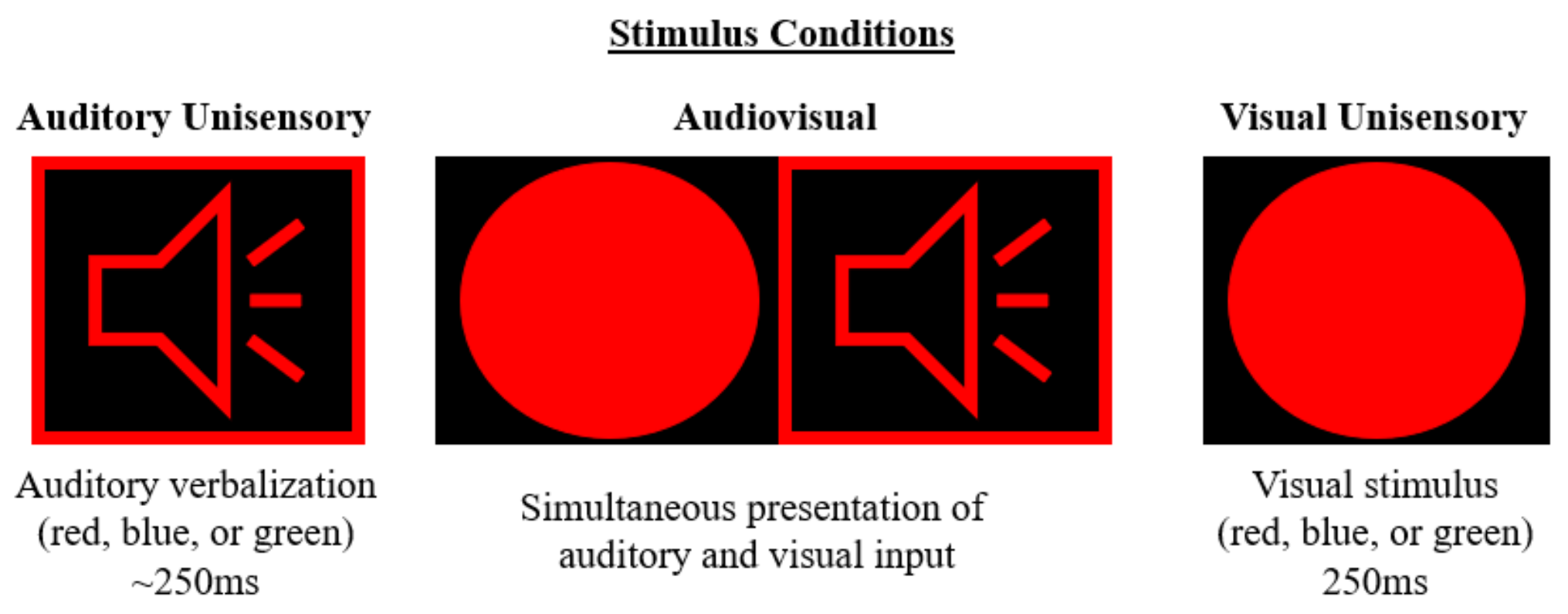 Brainsci 12 00809 g001