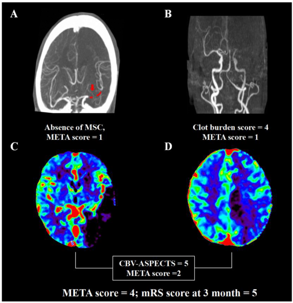 Brainsci 12 00821 g002