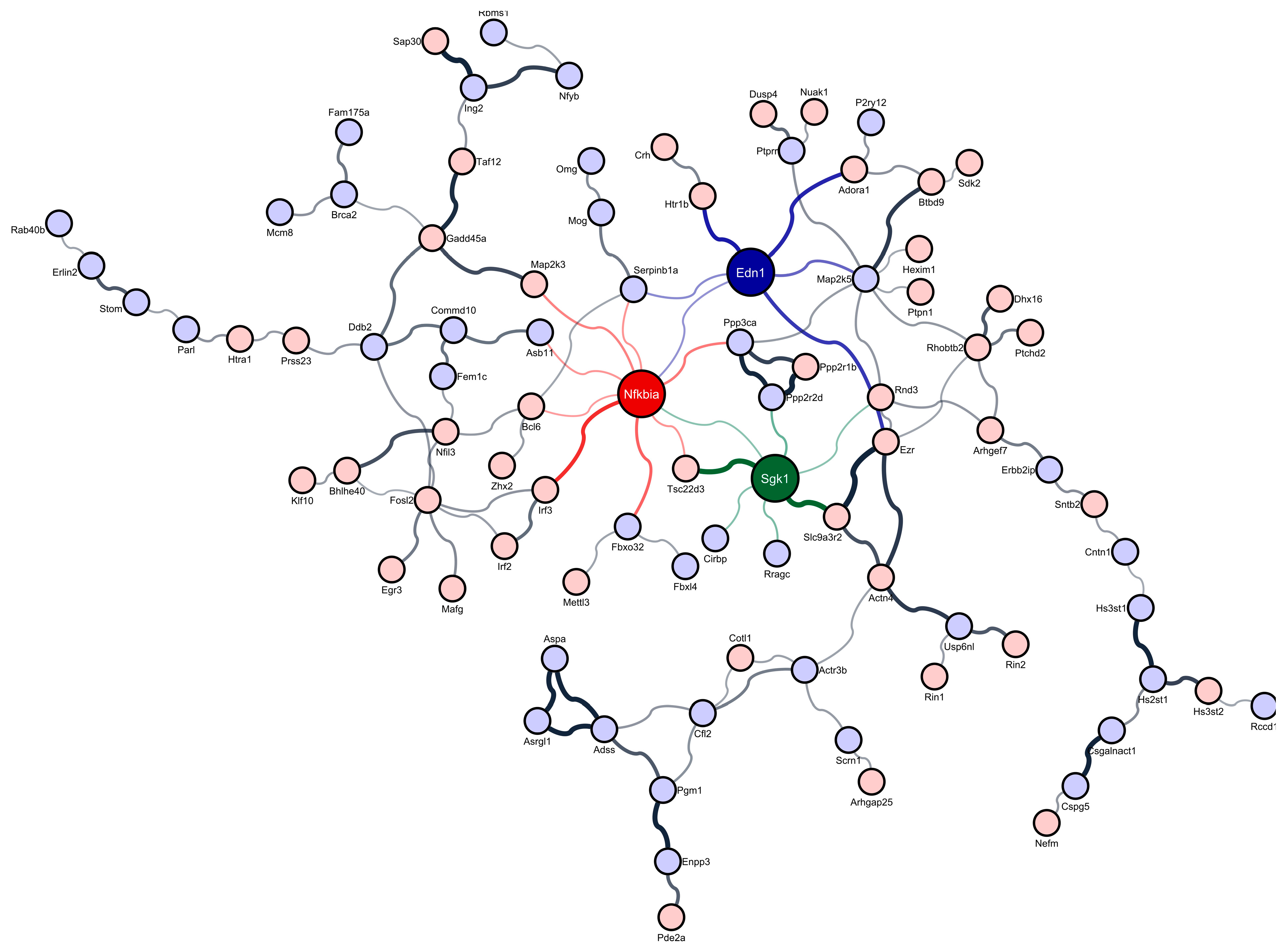 Brainsci 12 00825 g001