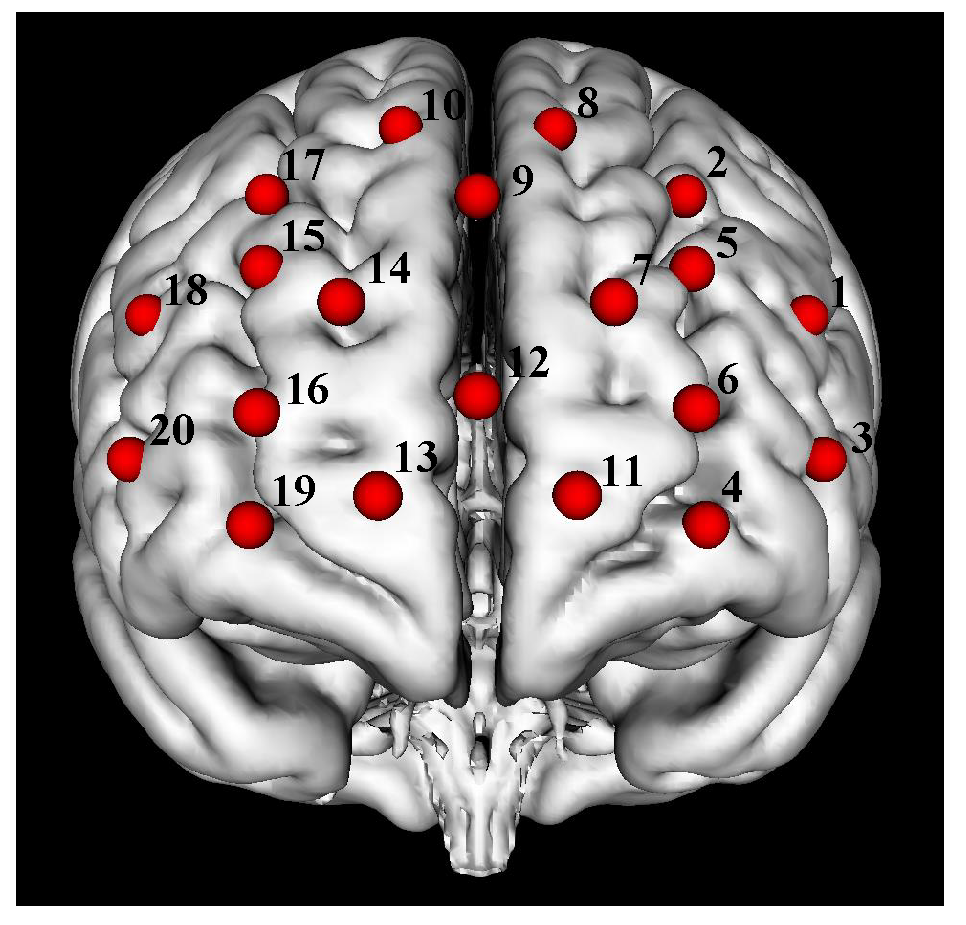 Brainsci 12 00862 g001