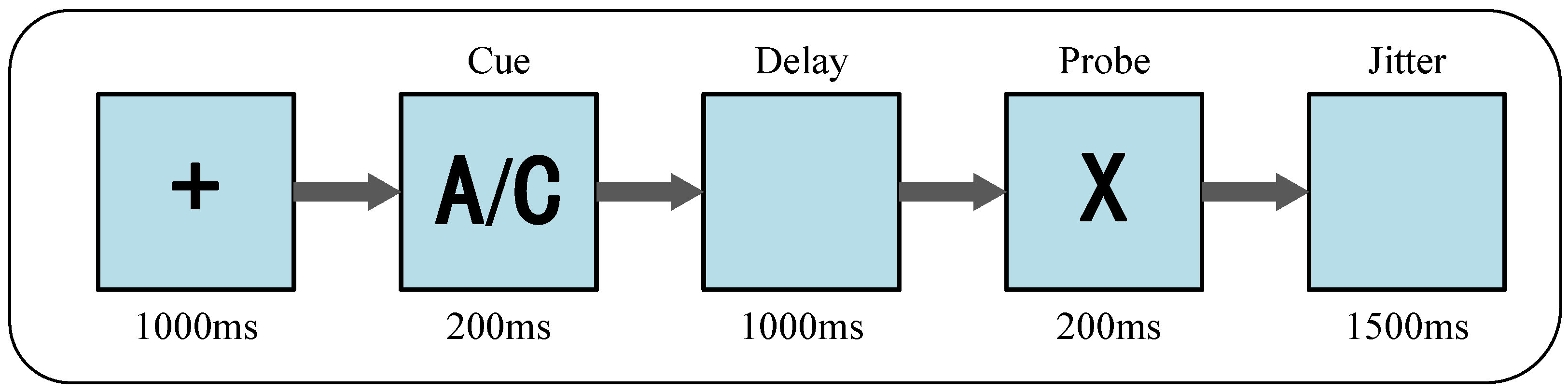 Brainsci 12 00862 g003