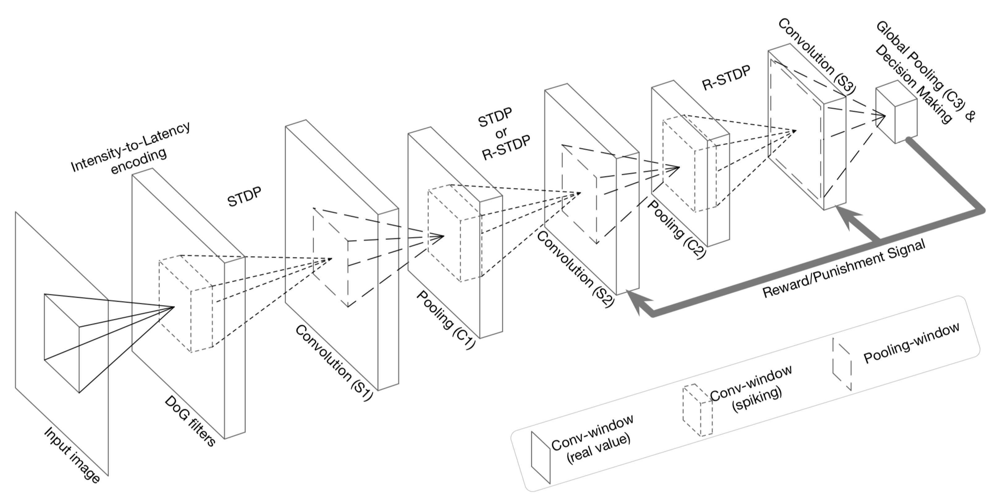 Brainsci 12 00863 g005