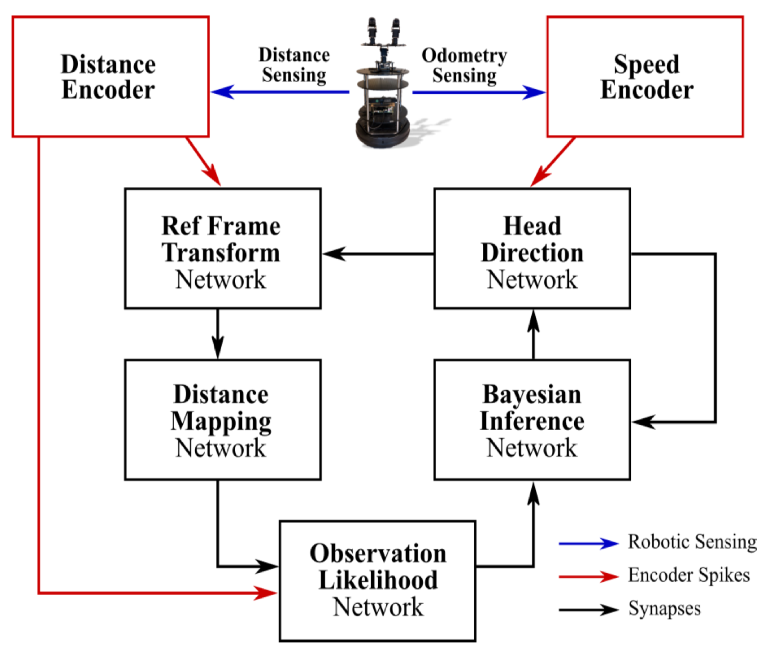 Brainsci 12 00863 g006