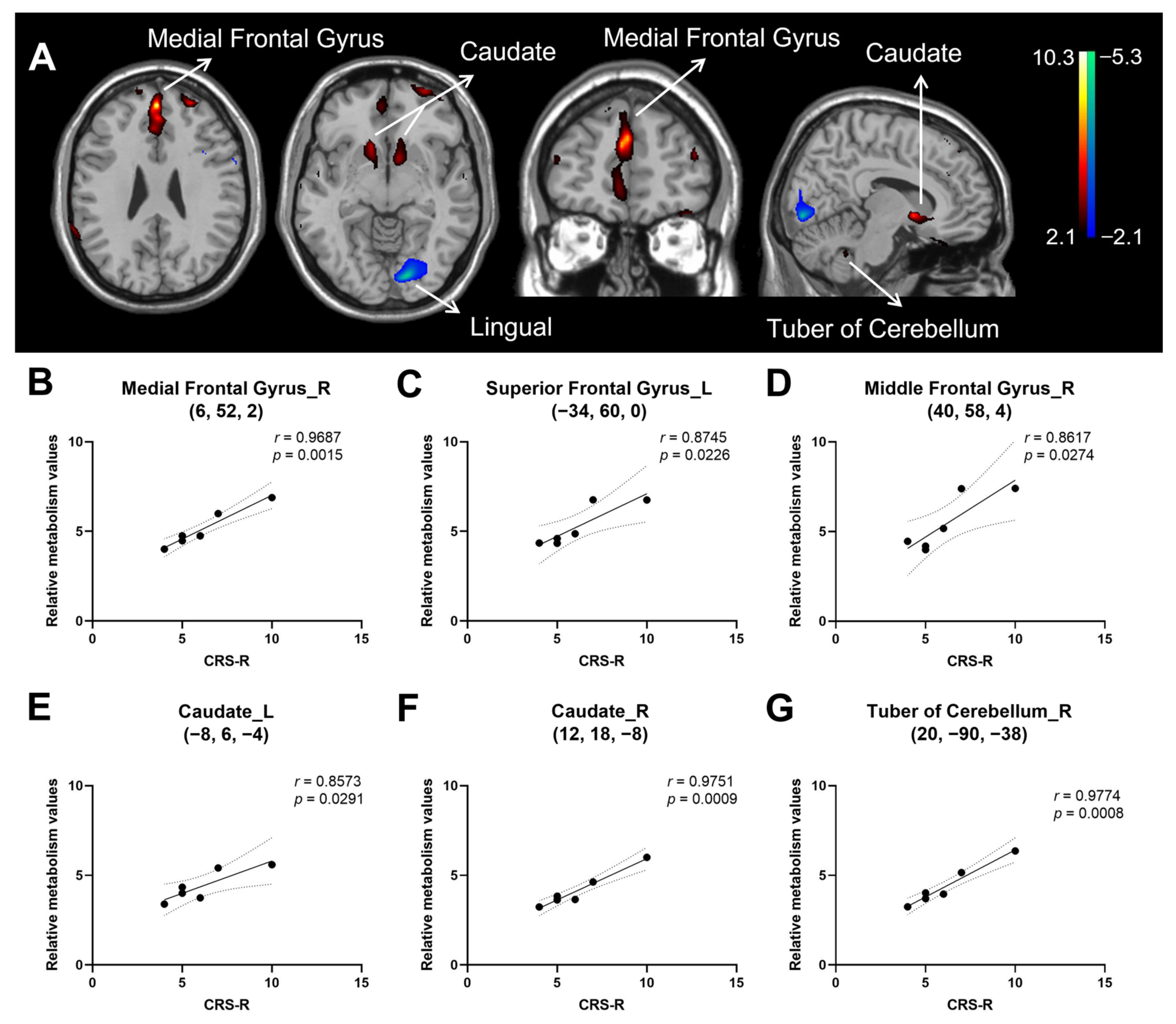 Brainsci 12 00892 g002