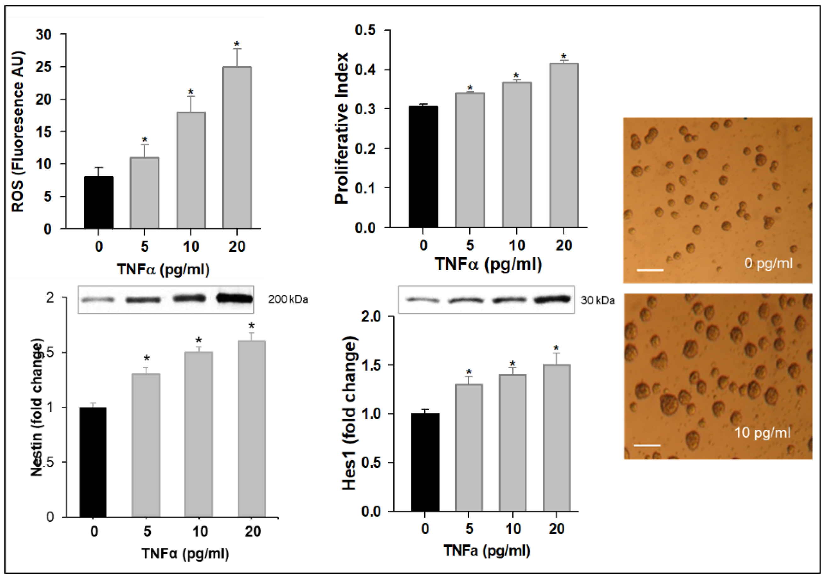 Brainsci 12 00900 g002 Brainsci 12 00900 g002