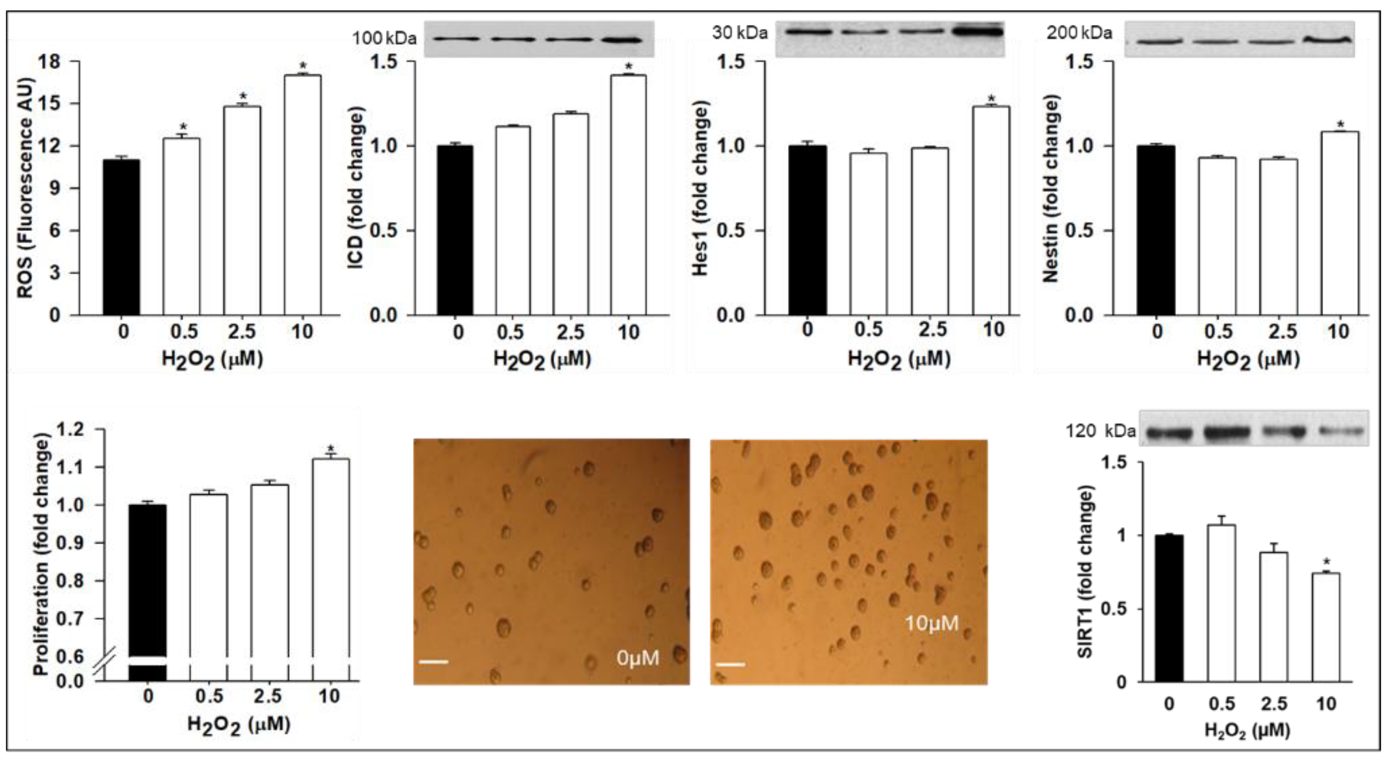 Brainsci 12 00900 g004 Brainsci 12 00900 g004