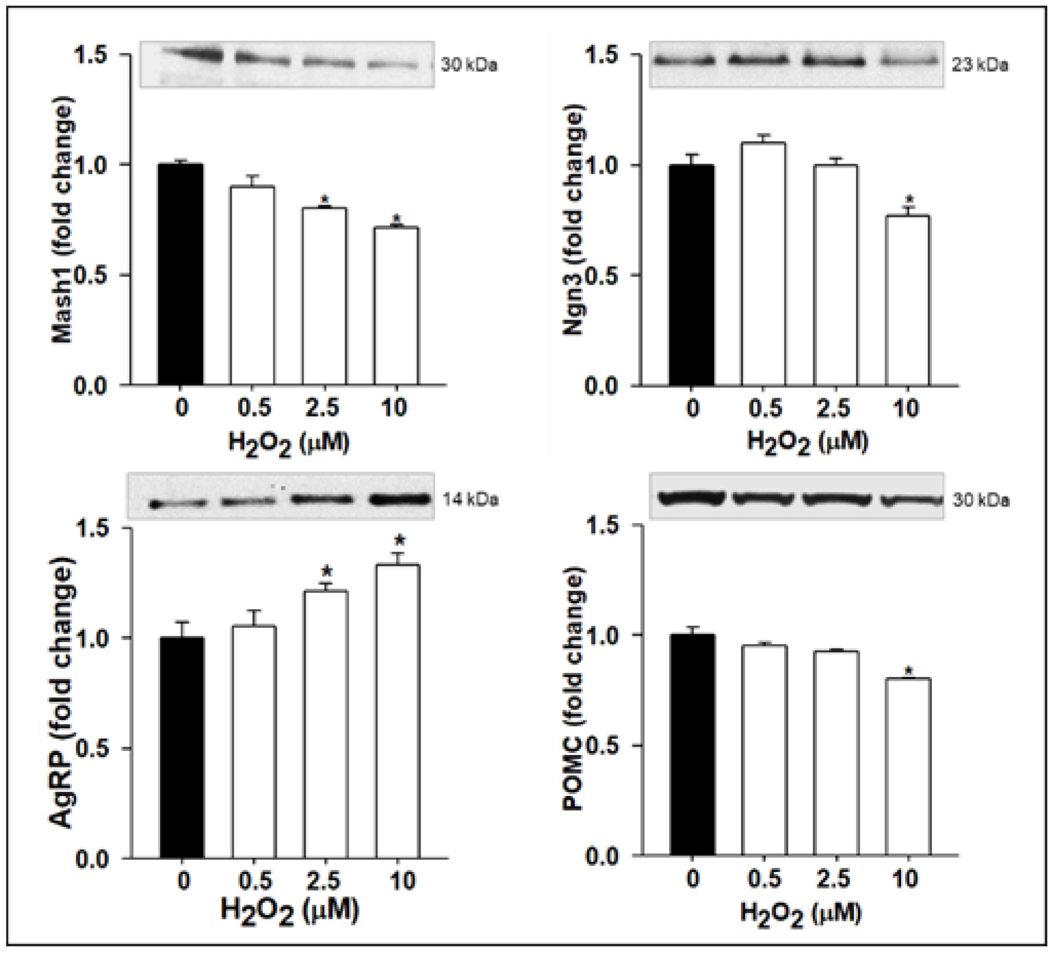 Brainsci 12 00900 g005 Brainsci 12 00900 g005