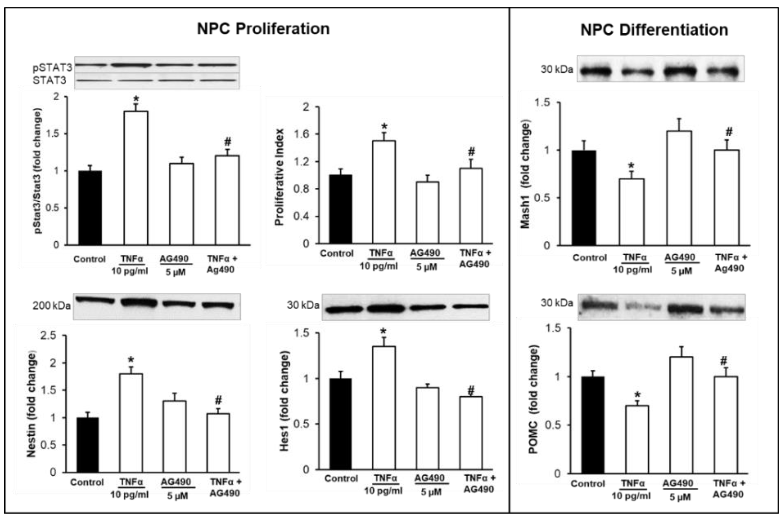 Brainsci 12 00900 g006 Brainsci 12 00900 g006