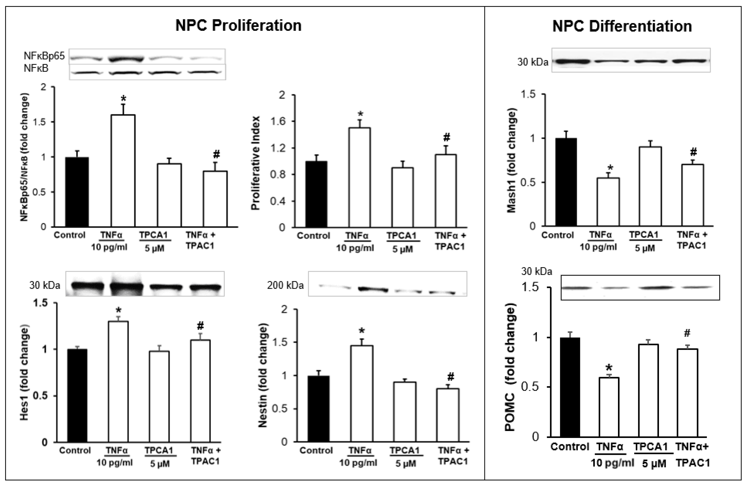 Brainsci 12 00900 g007 Brainsci 12 00900 g007