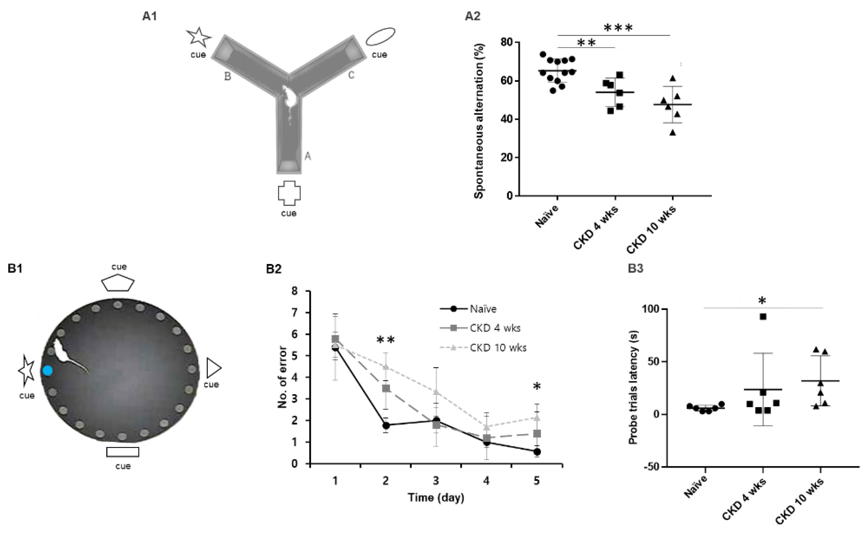 Brainsci 12 00905 g002