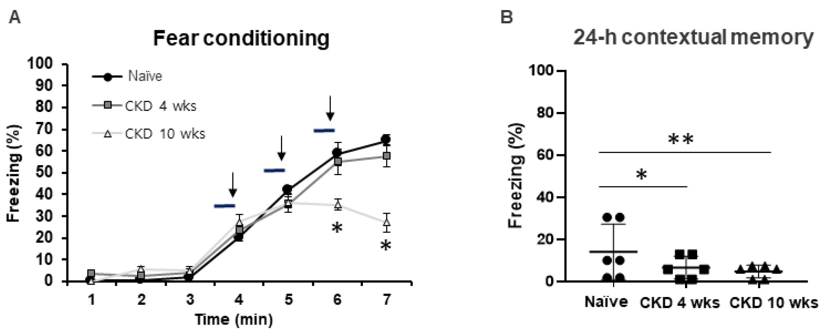 Brainsci 12 00905 g003