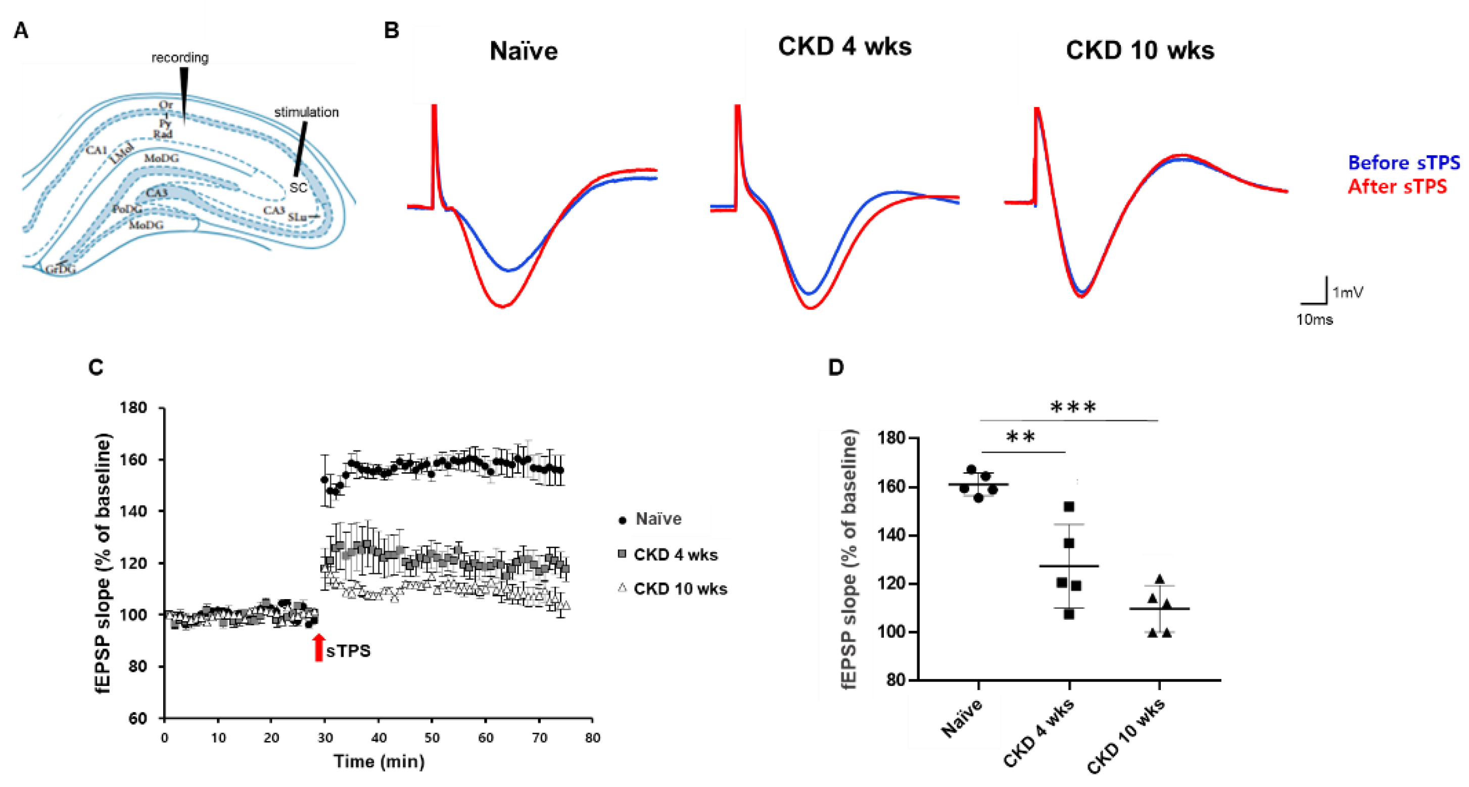 Brainsci 12 00905 g004