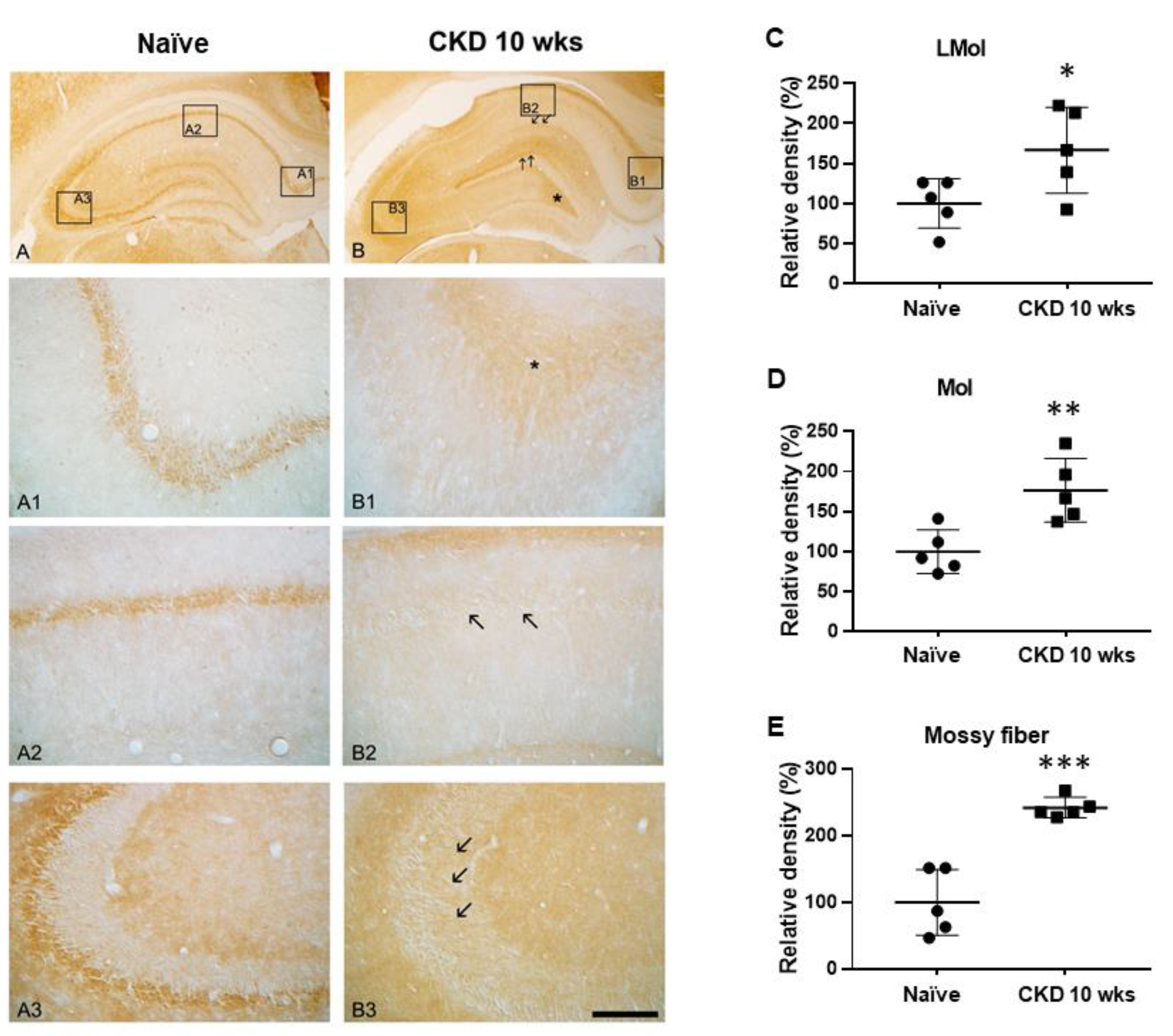 Brainsci 12 00905 g005