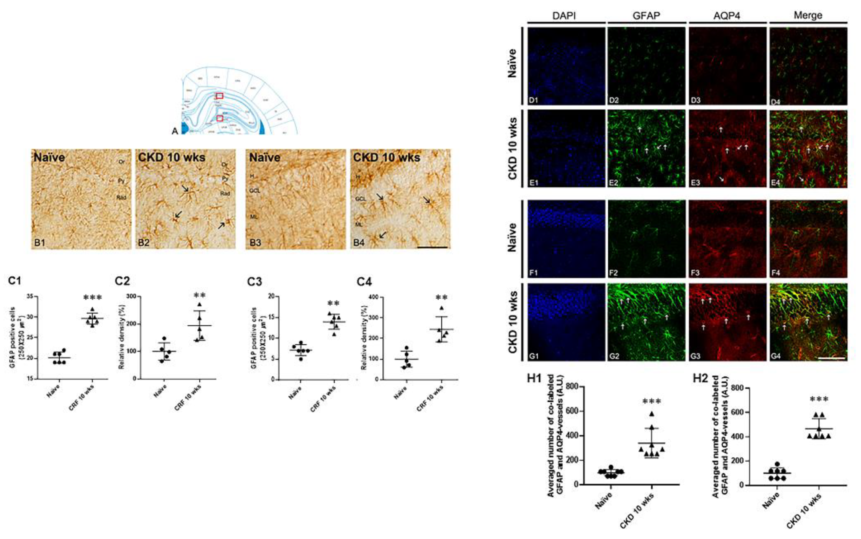 Brainsci 12 00905 g006