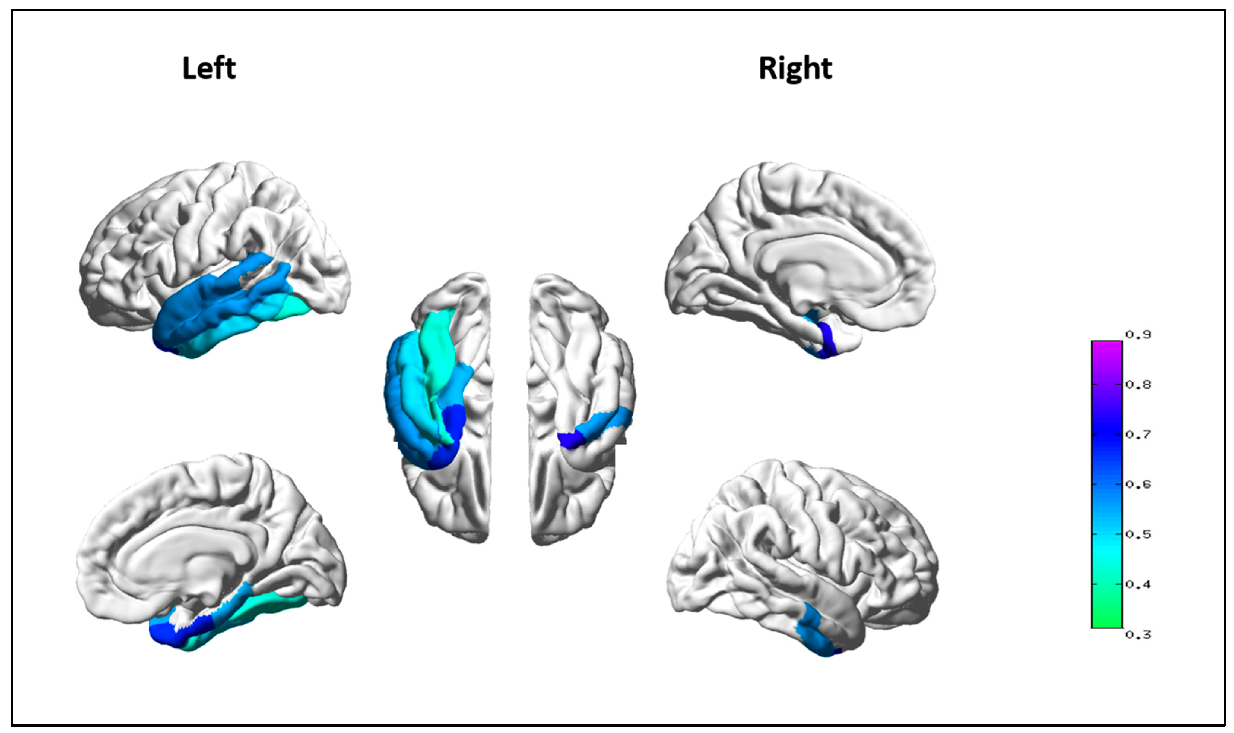 Brainsci 12 00910 g002