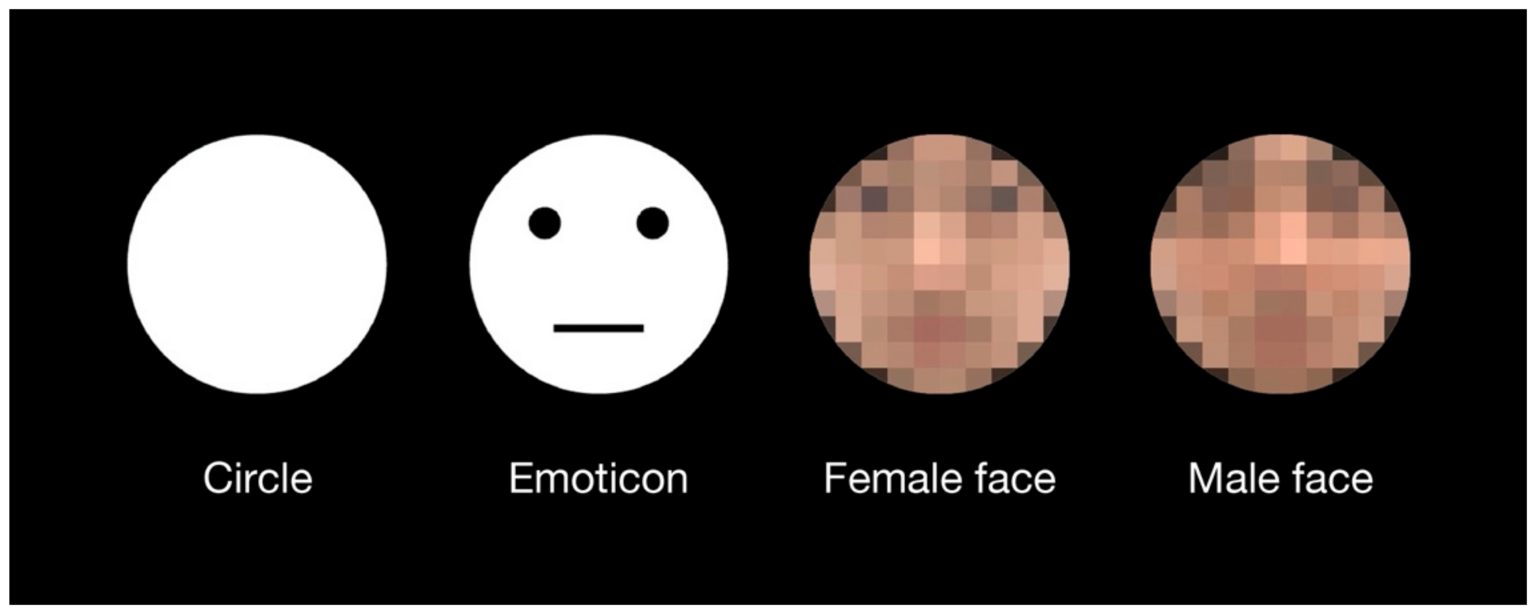 Brainsci 12 00914 g001 Brainsci 12 00914 g001