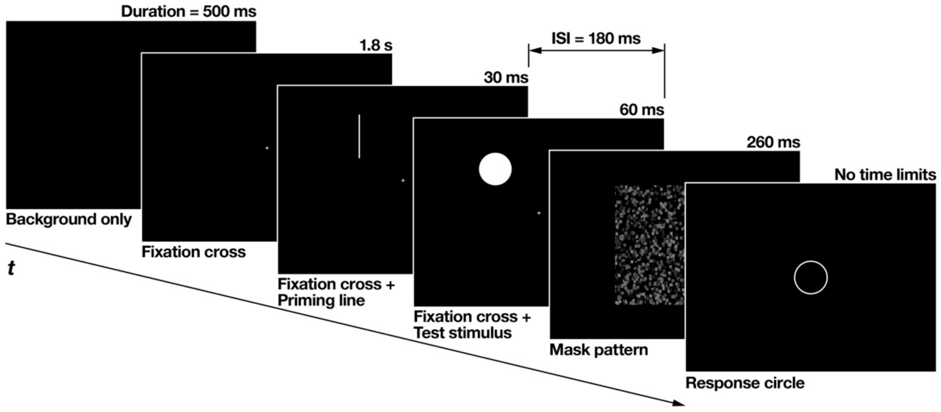 Brainsci 12 00914 g003 Brainsci 12 00914 g003