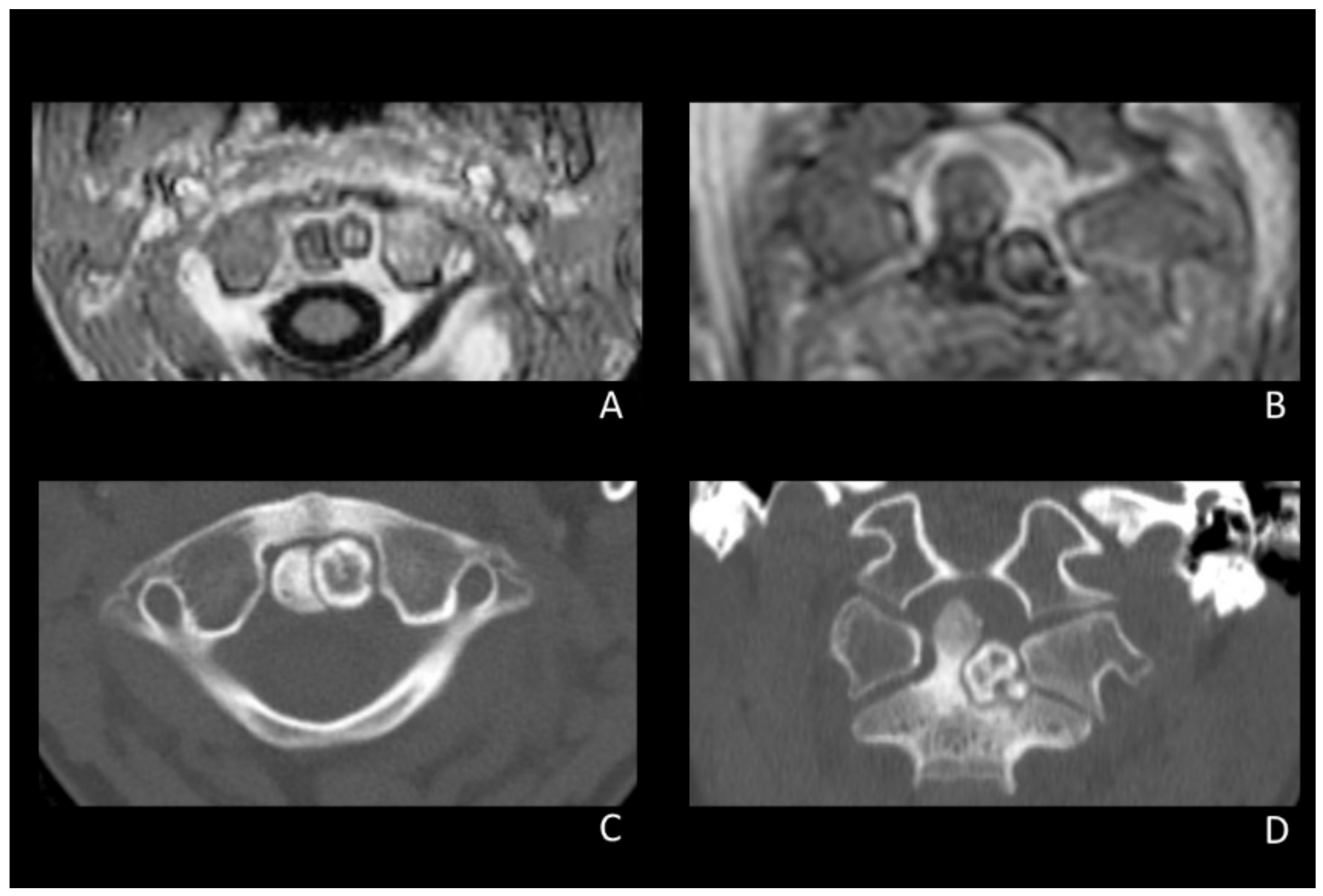 Brainsci 12 00916 g001