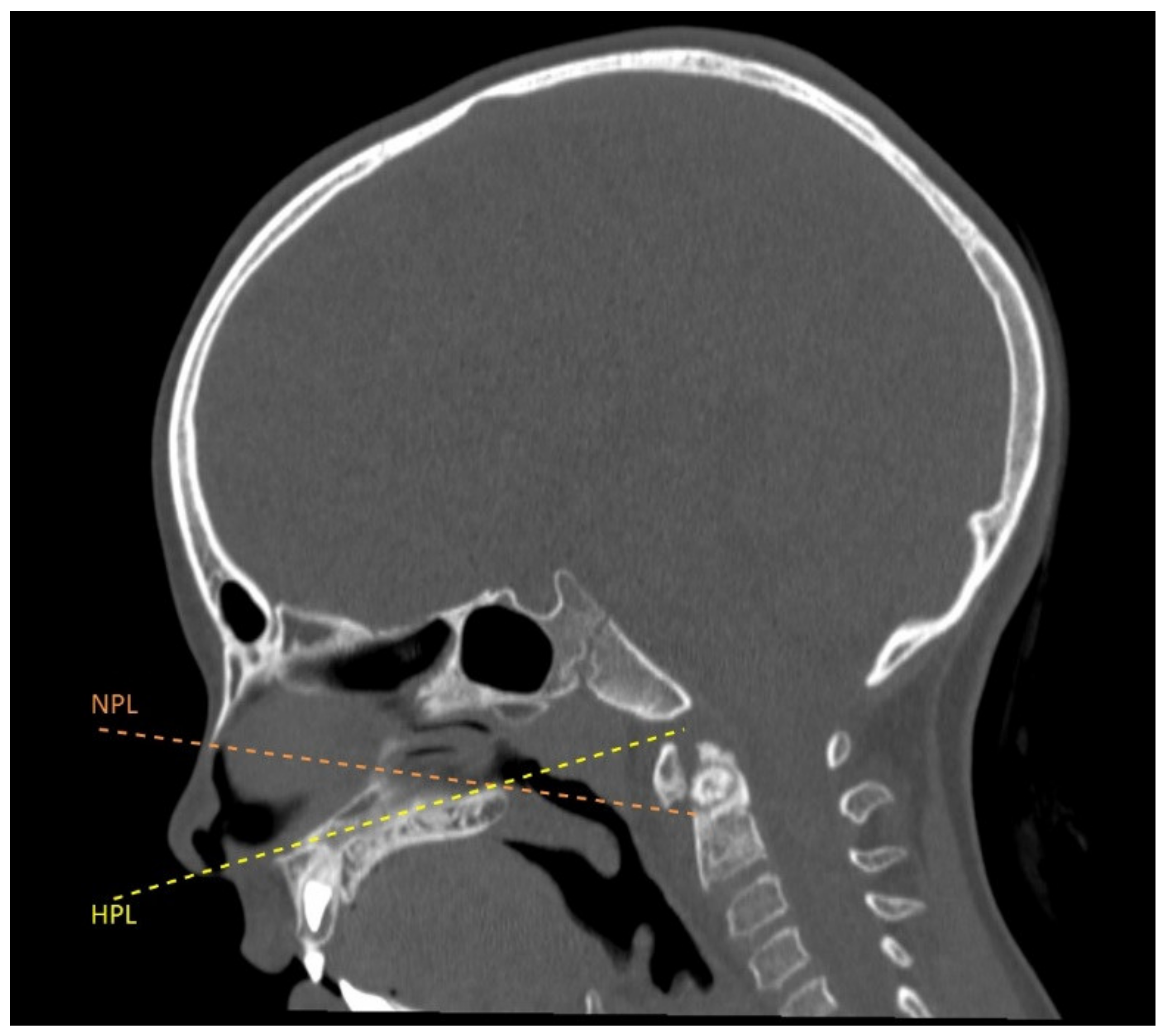 Brainsci 12 00916 g002