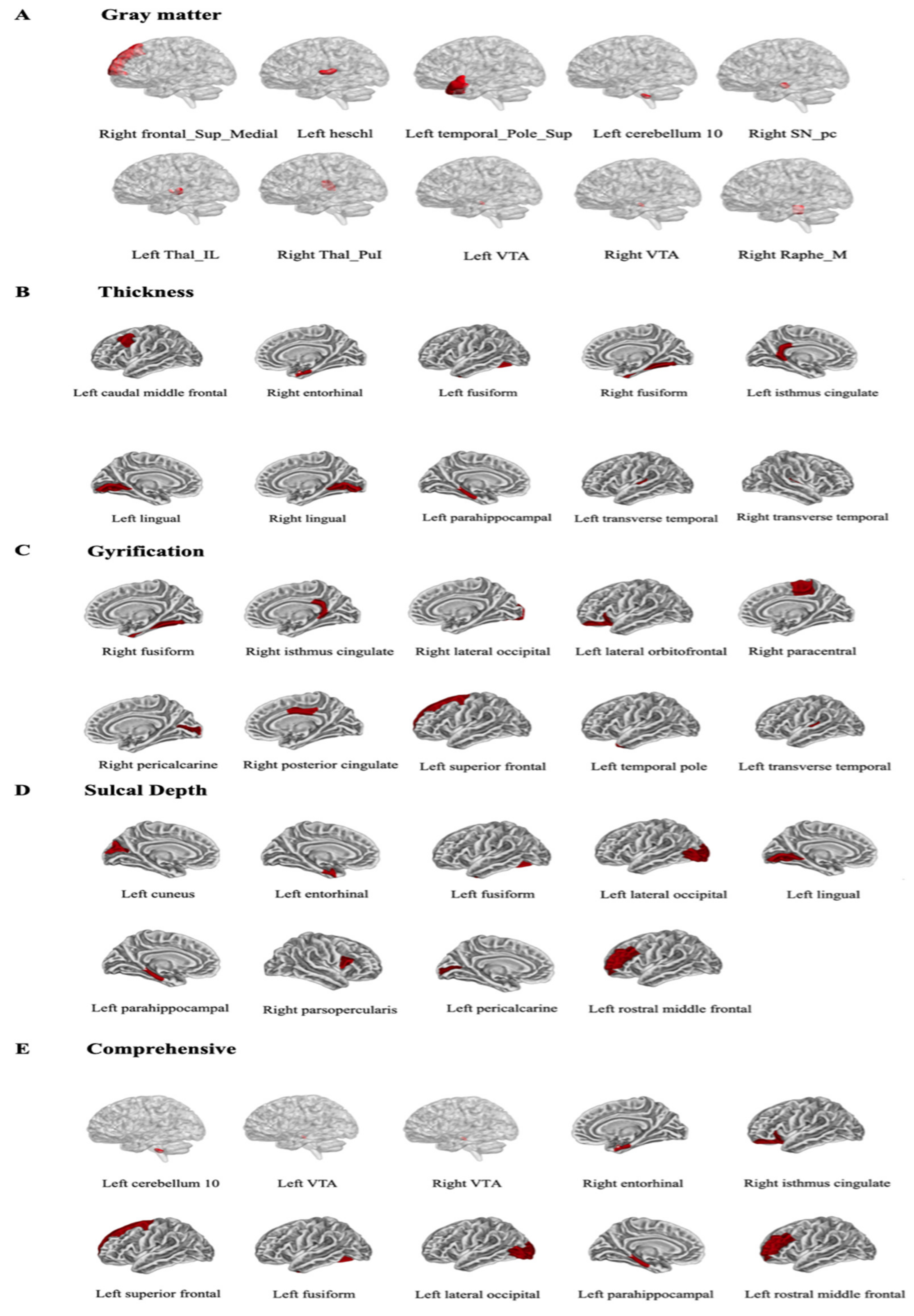 Brainsci 12 00921 g002