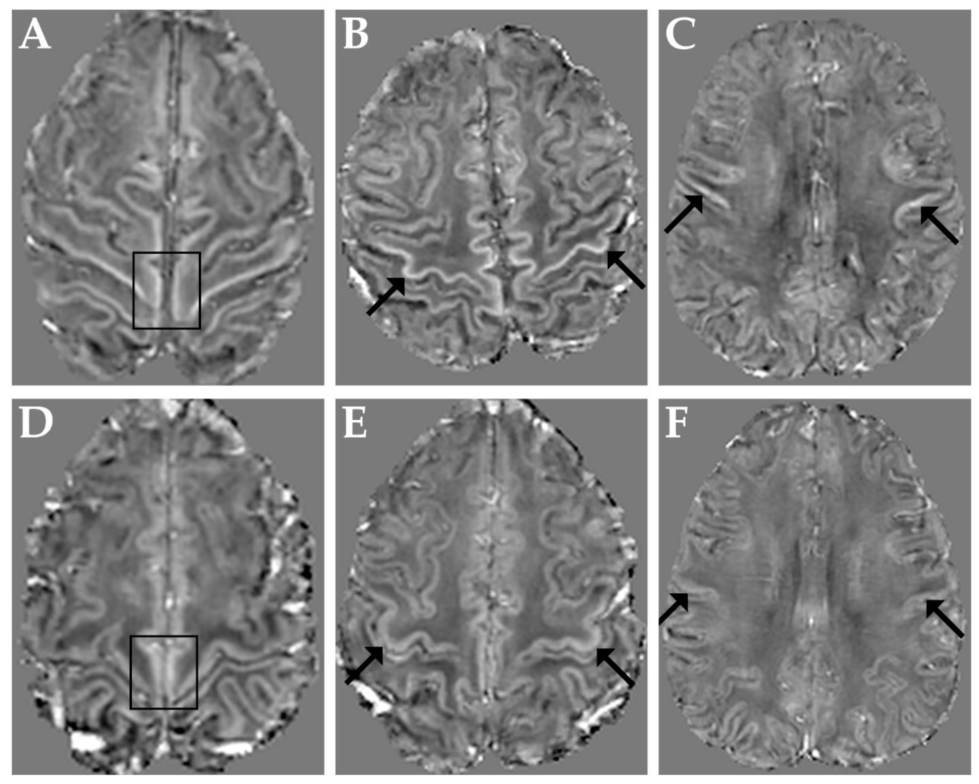 Brainsci 12 00942 g001