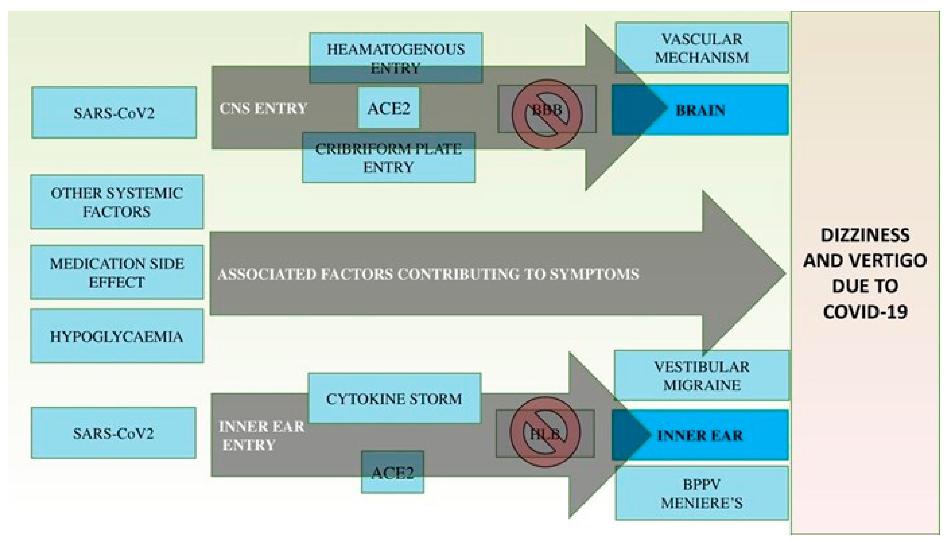 Brainsci 12 00948 g001