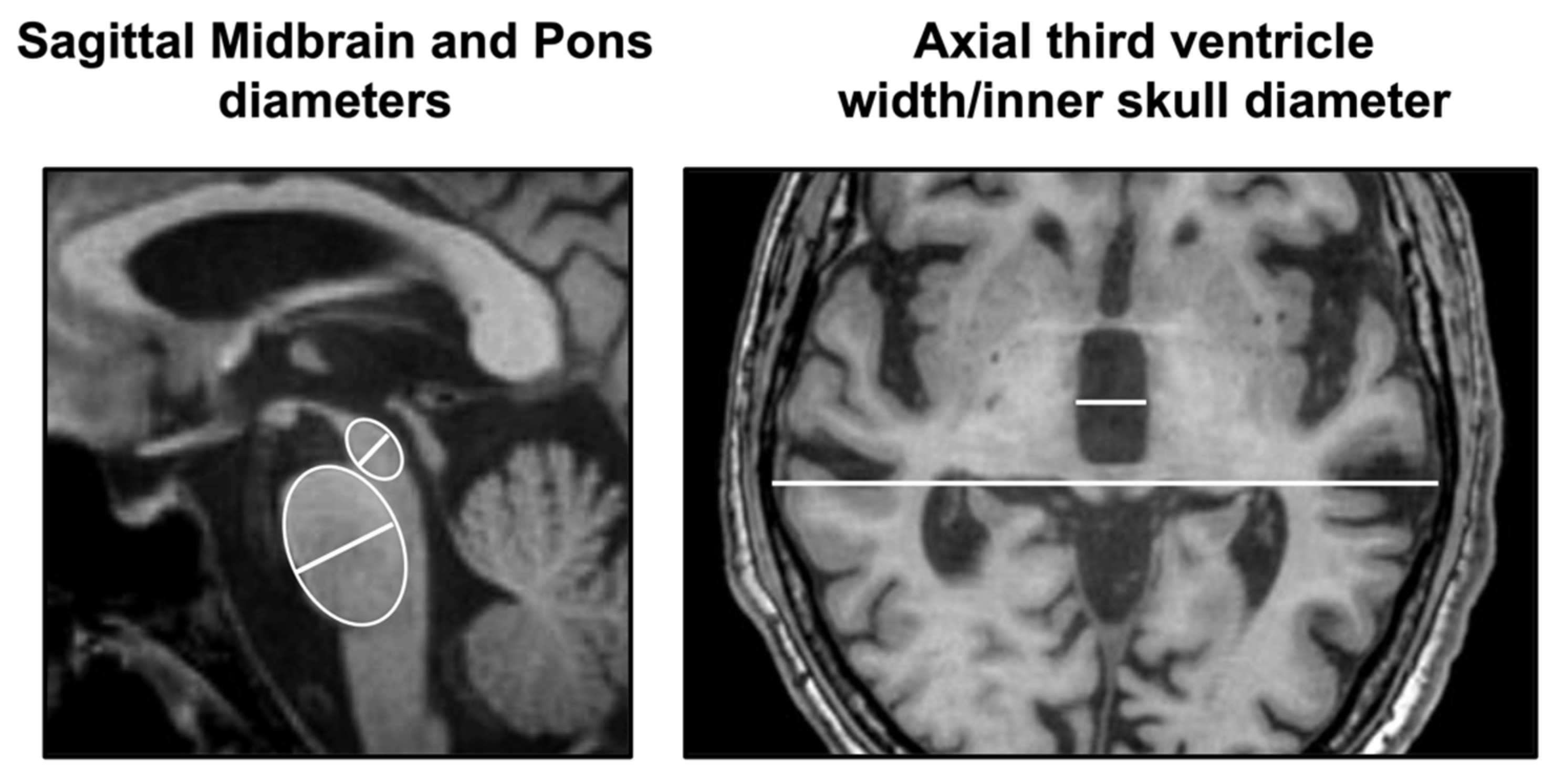 Brainsci 12 00949 g002