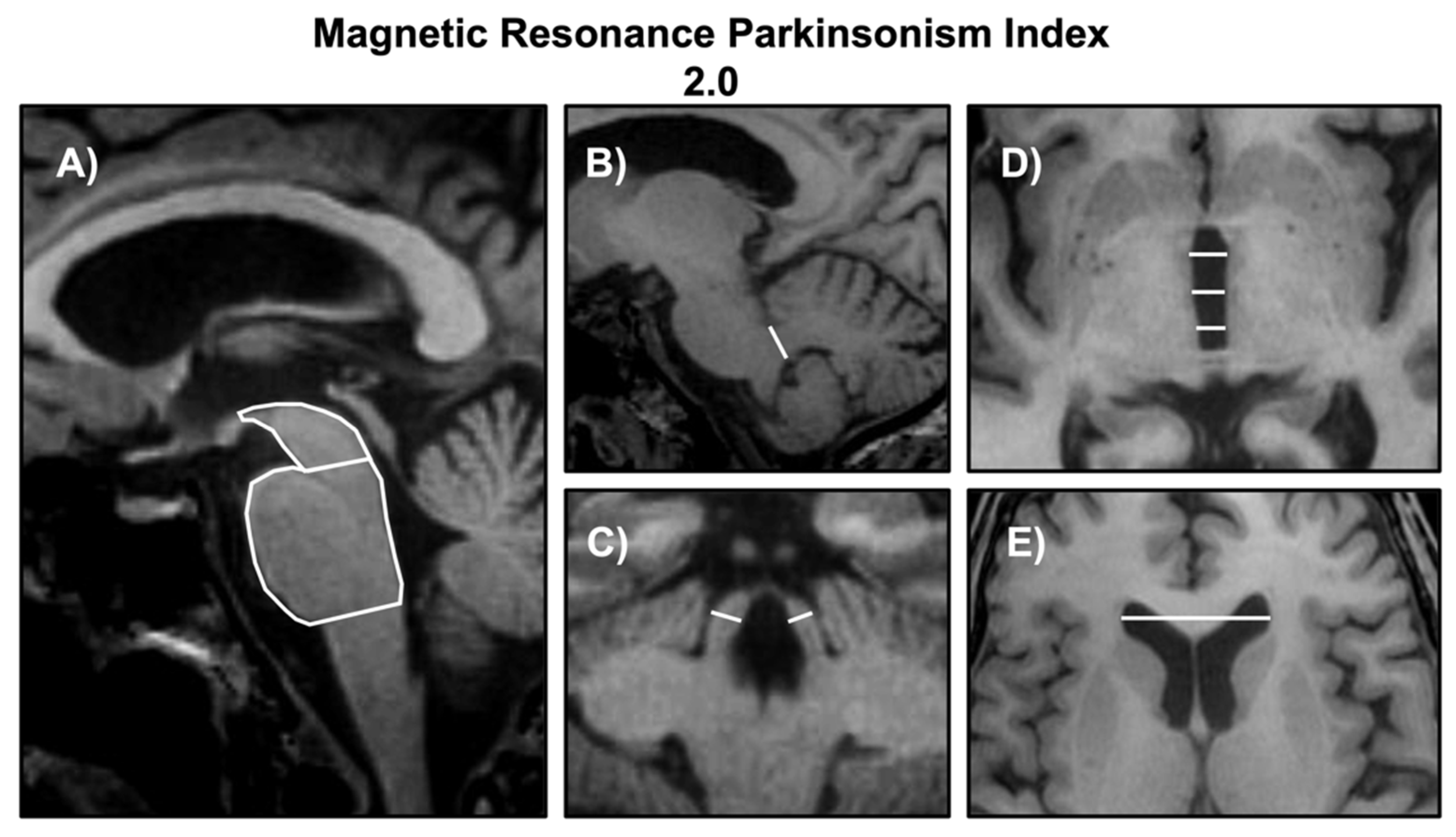 Brainsci 12 00949 g003