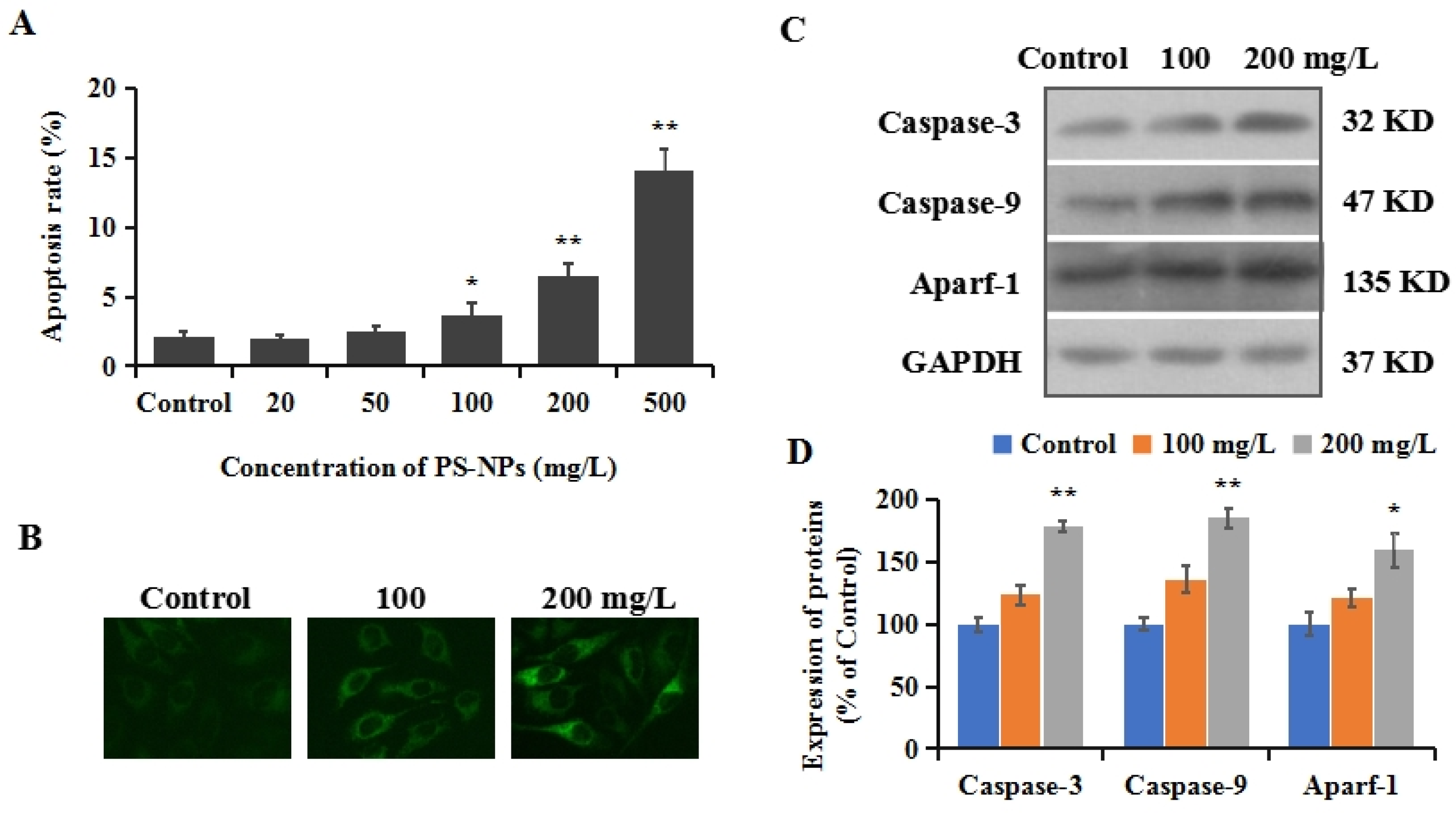 Brainsci 12 00952 g002