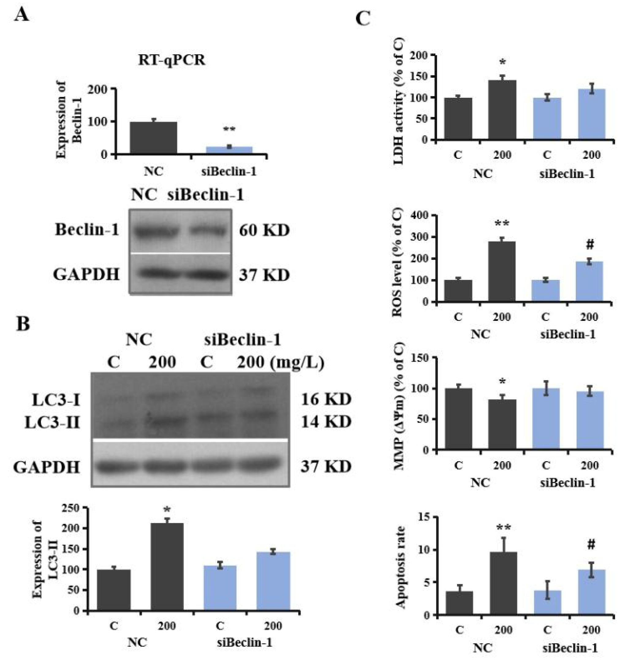 Brainsci 12 00952 g004