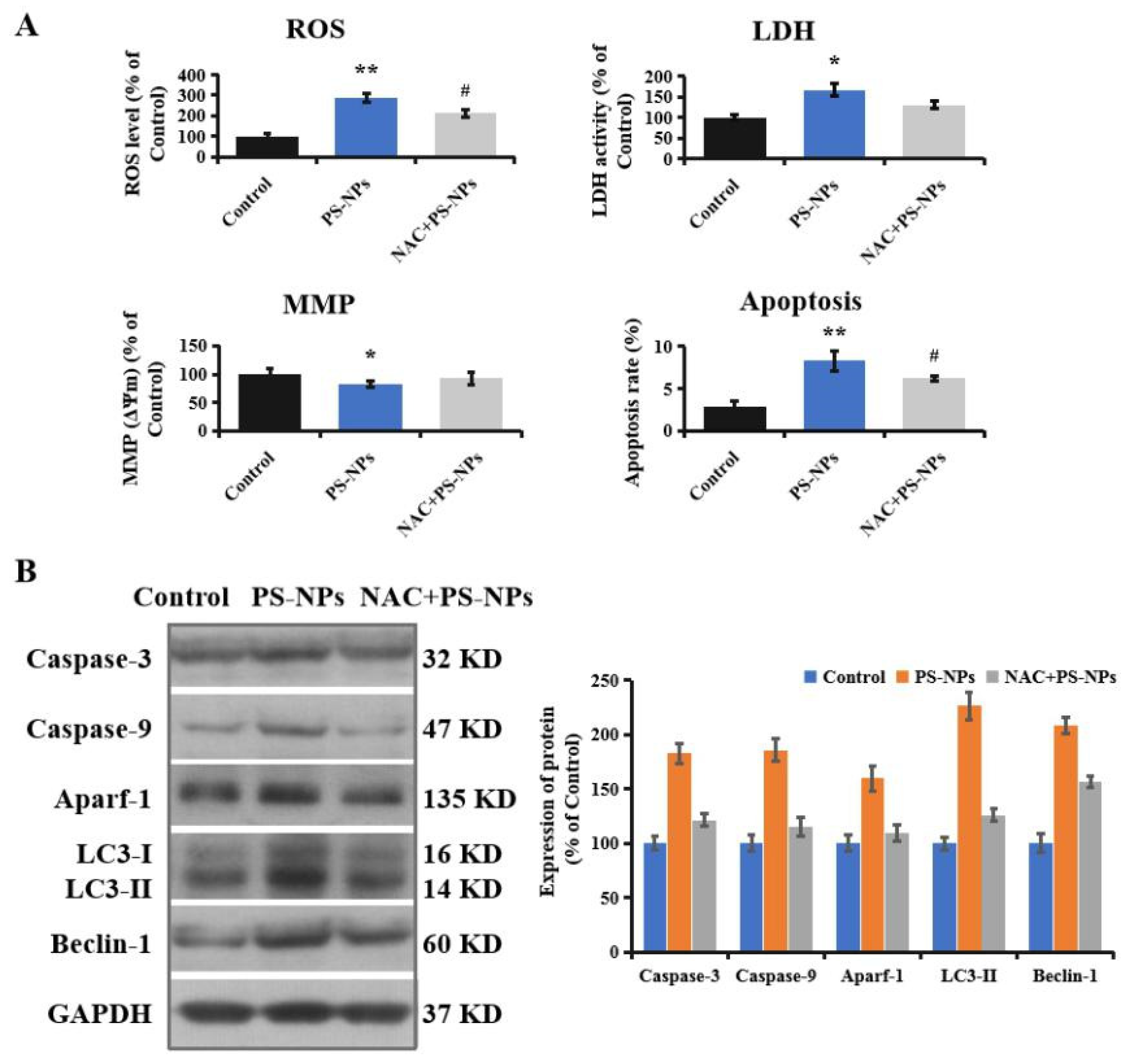Brainsci 12 00952 g005