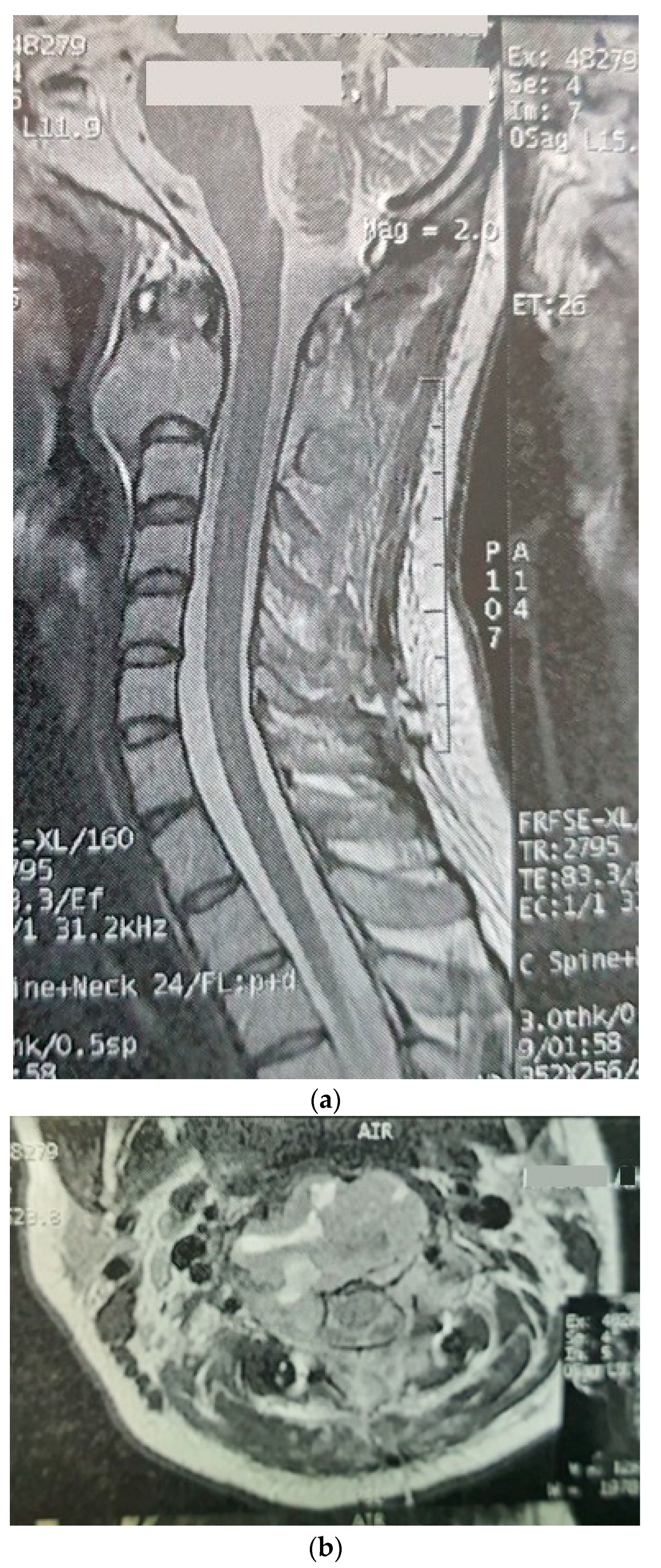 Brainsci 12 00958 g001 Brainsci 12 00958 g001