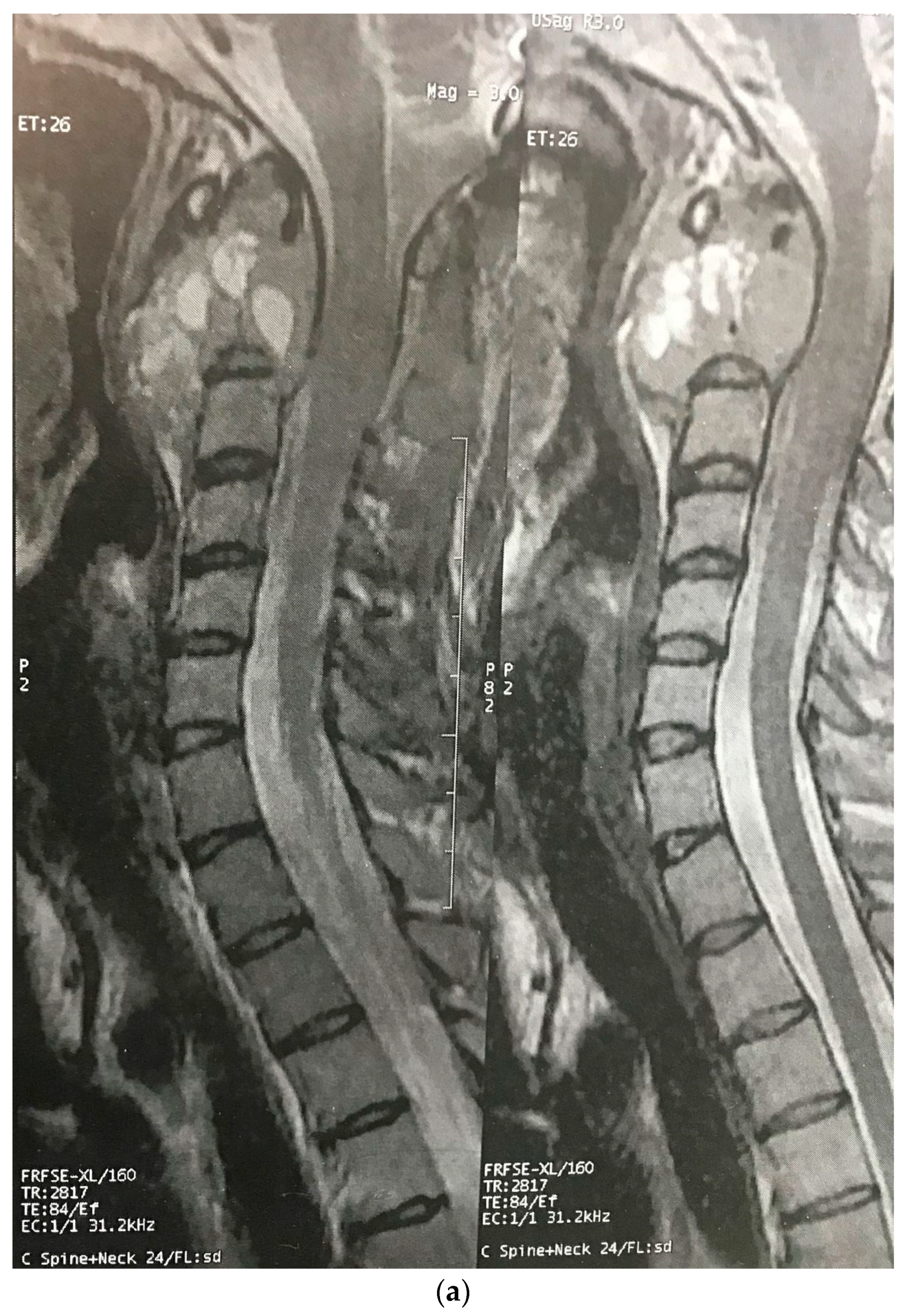 Brainsci 12 00958 g002a Brainsci 12 00958 g002a