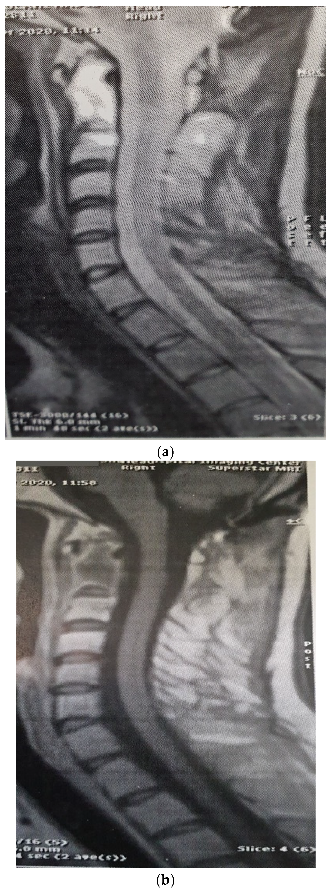 Brainsci 12 00958 g005 Brainsci 12 00958 g005